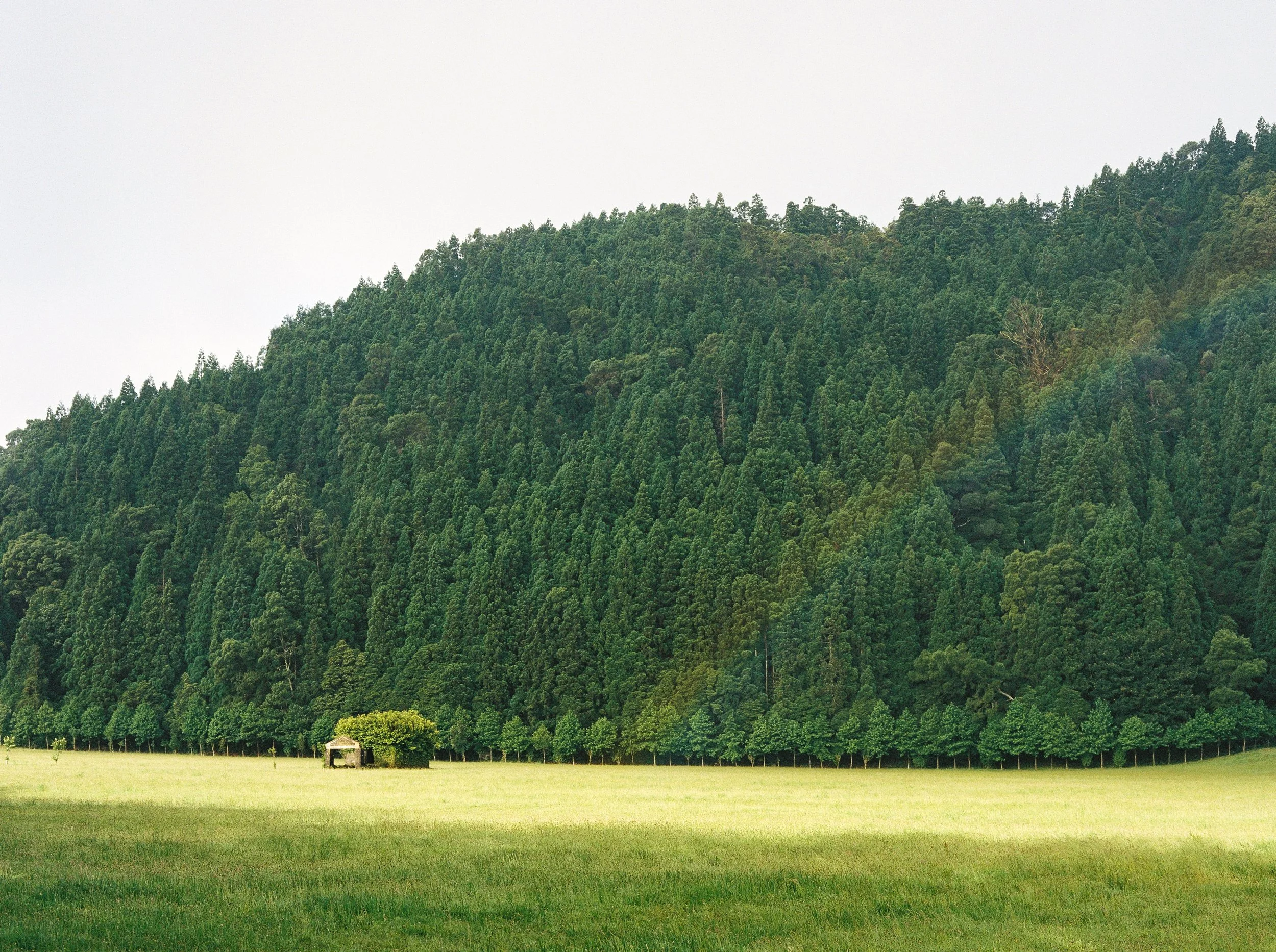 000005-6.jpg