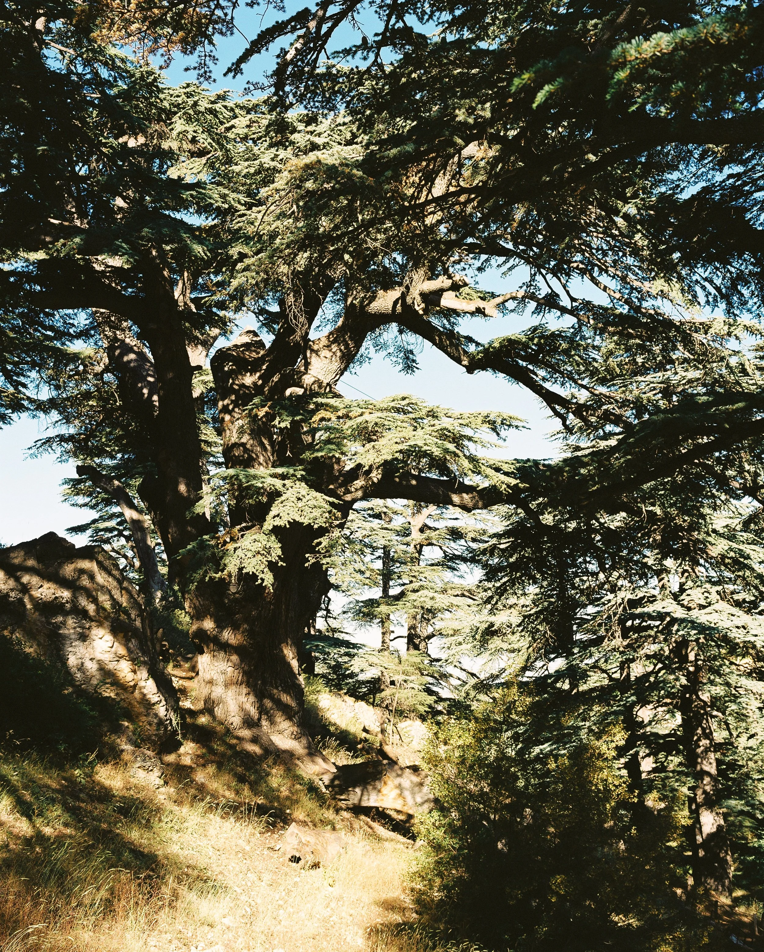000003-10.jpg