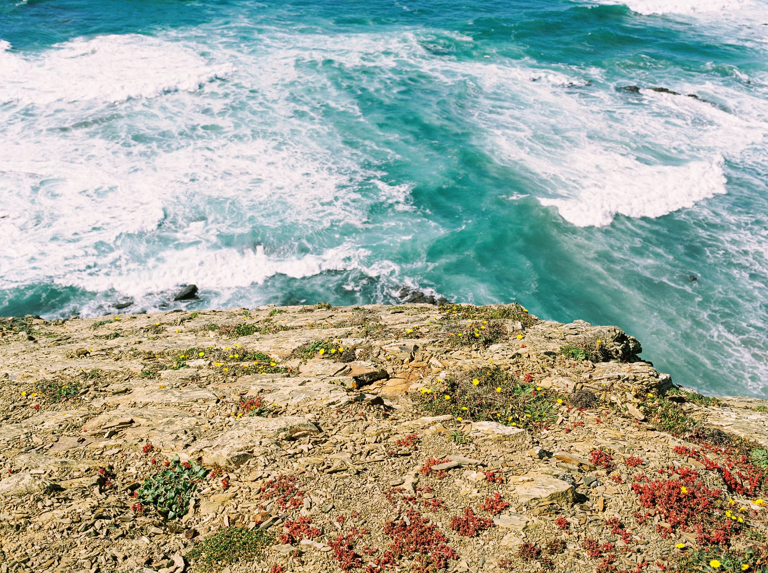 000001.jpg