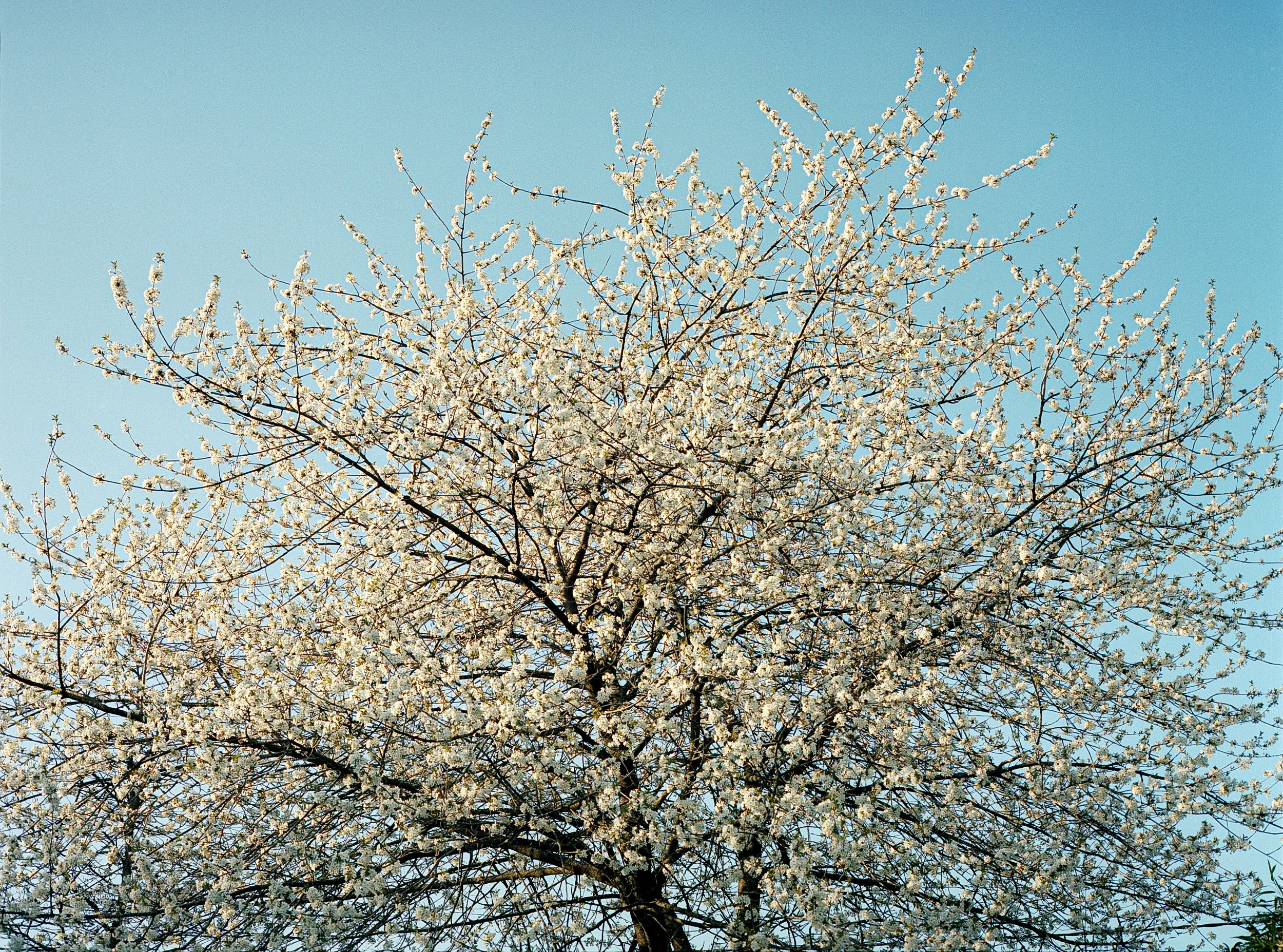 Image (7) (2).jpg