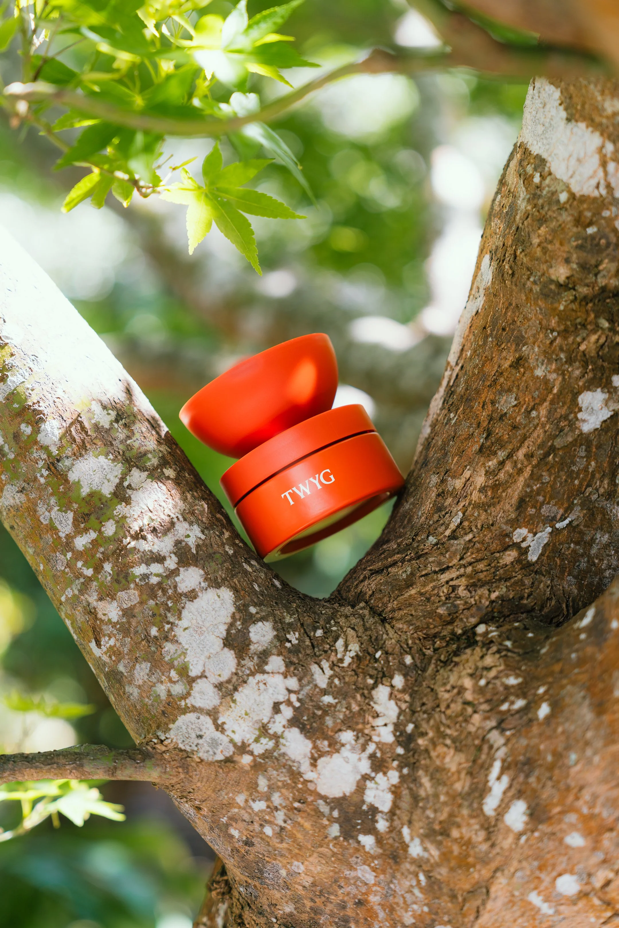 Scott Howes - TWYG - 2.jpg