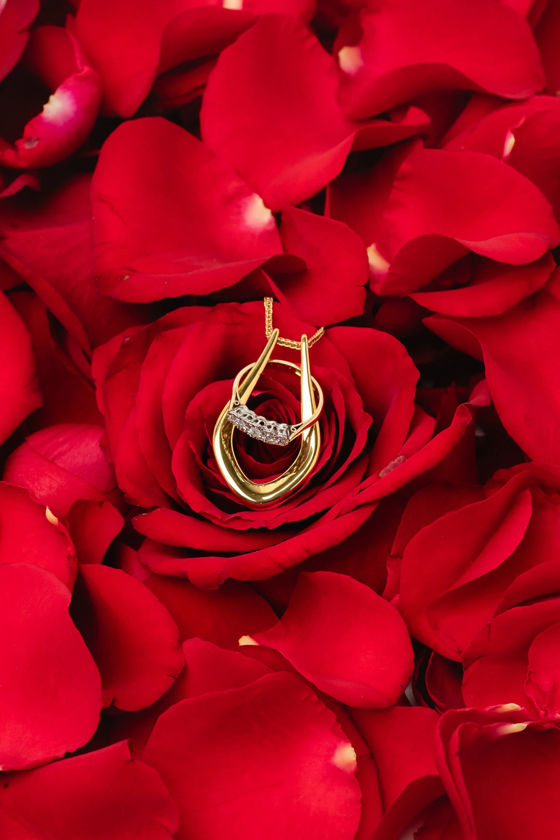 Pixie wing - roses 14.jpg