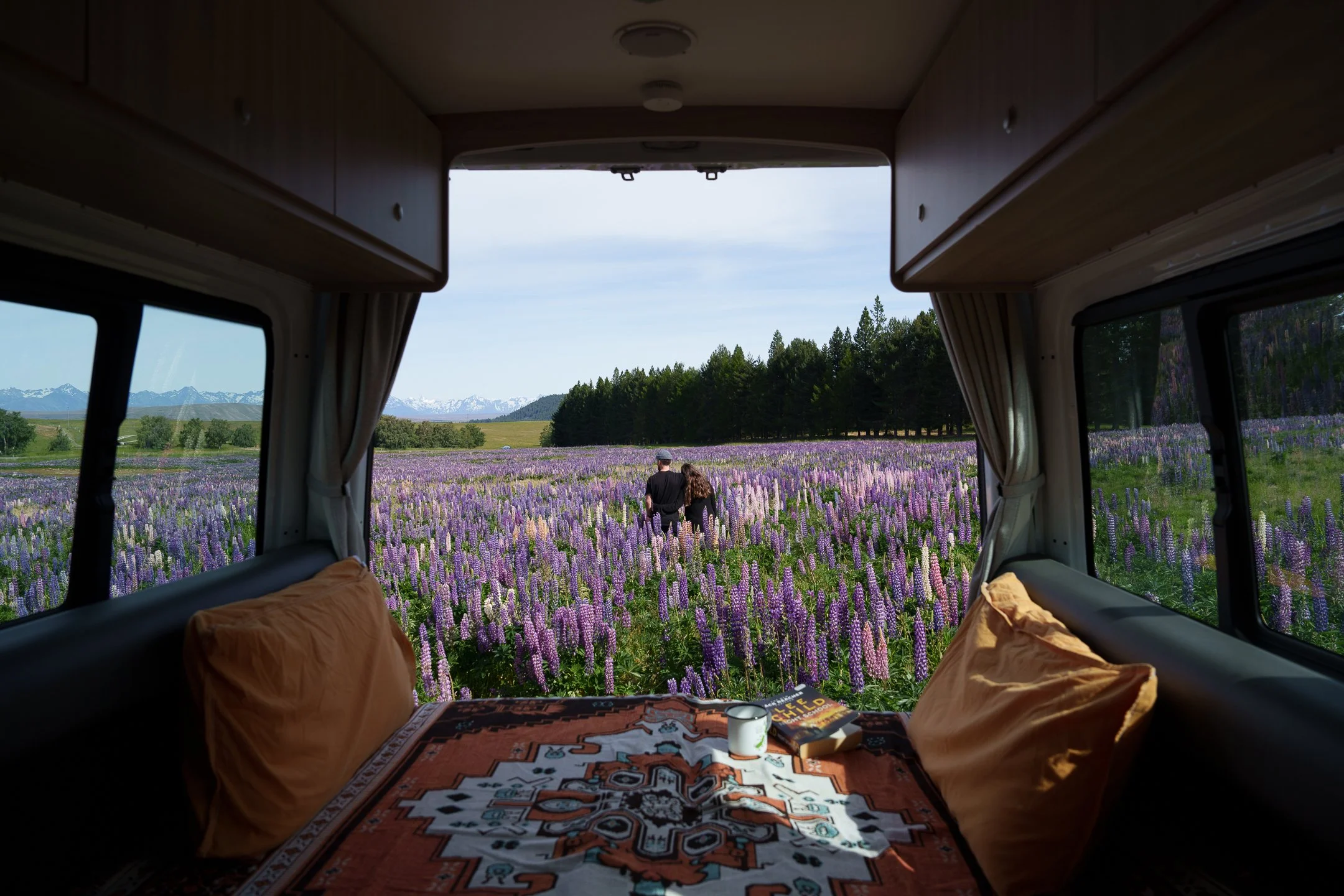 Britz - Visit Wherever back of van-7.jpg