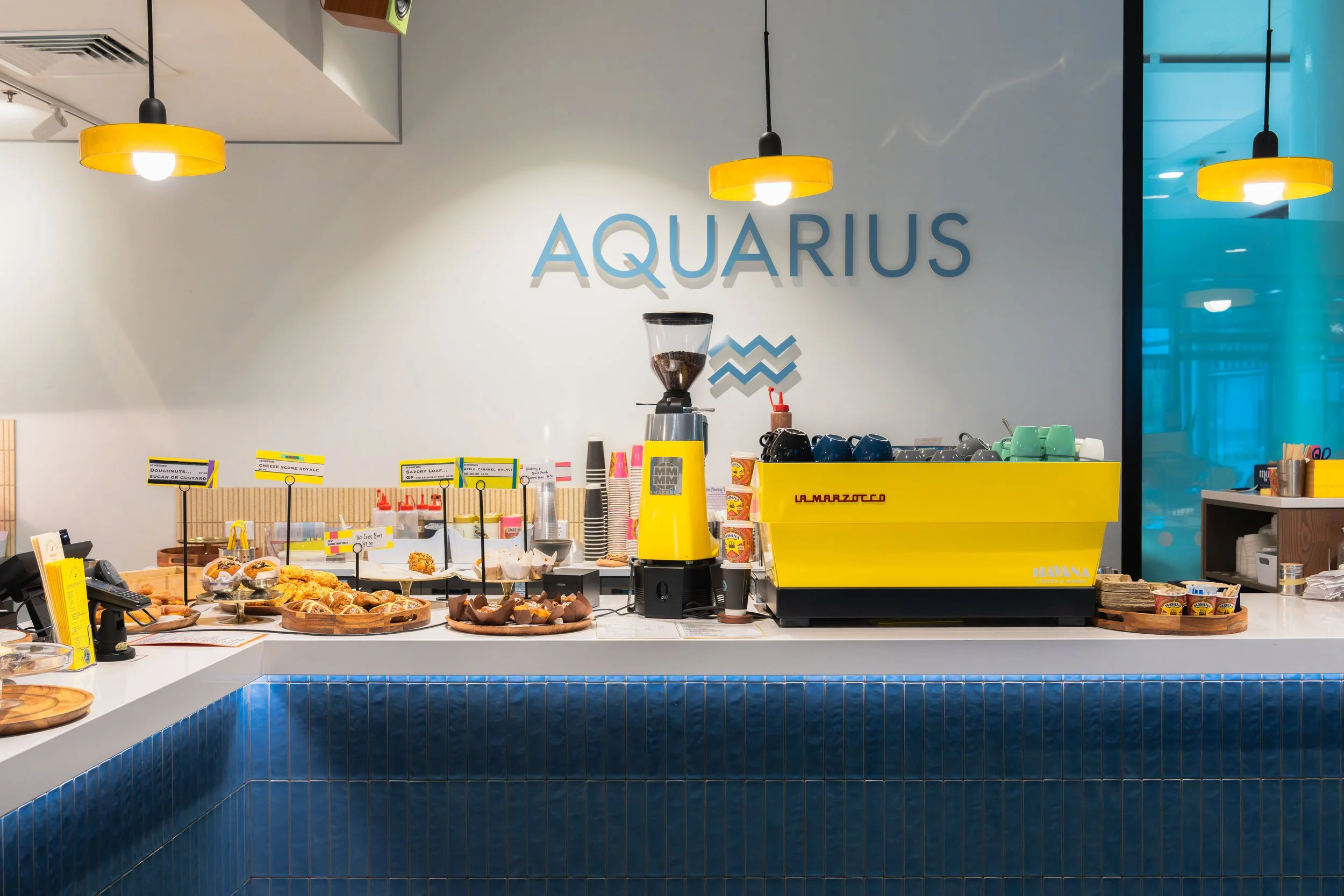 Havana x Aquarius-2.jpg