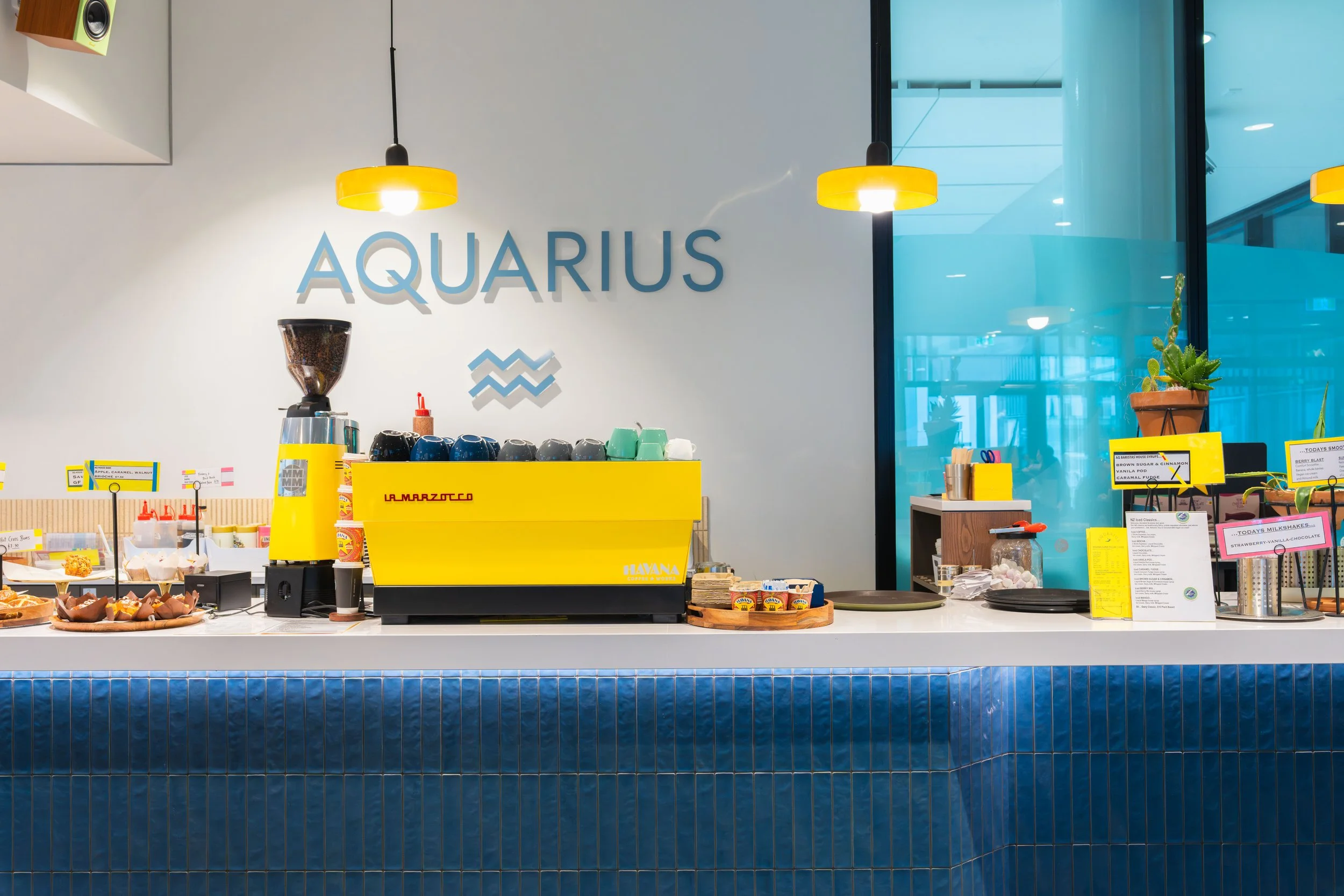 Havana x Aquarius-6.jpg