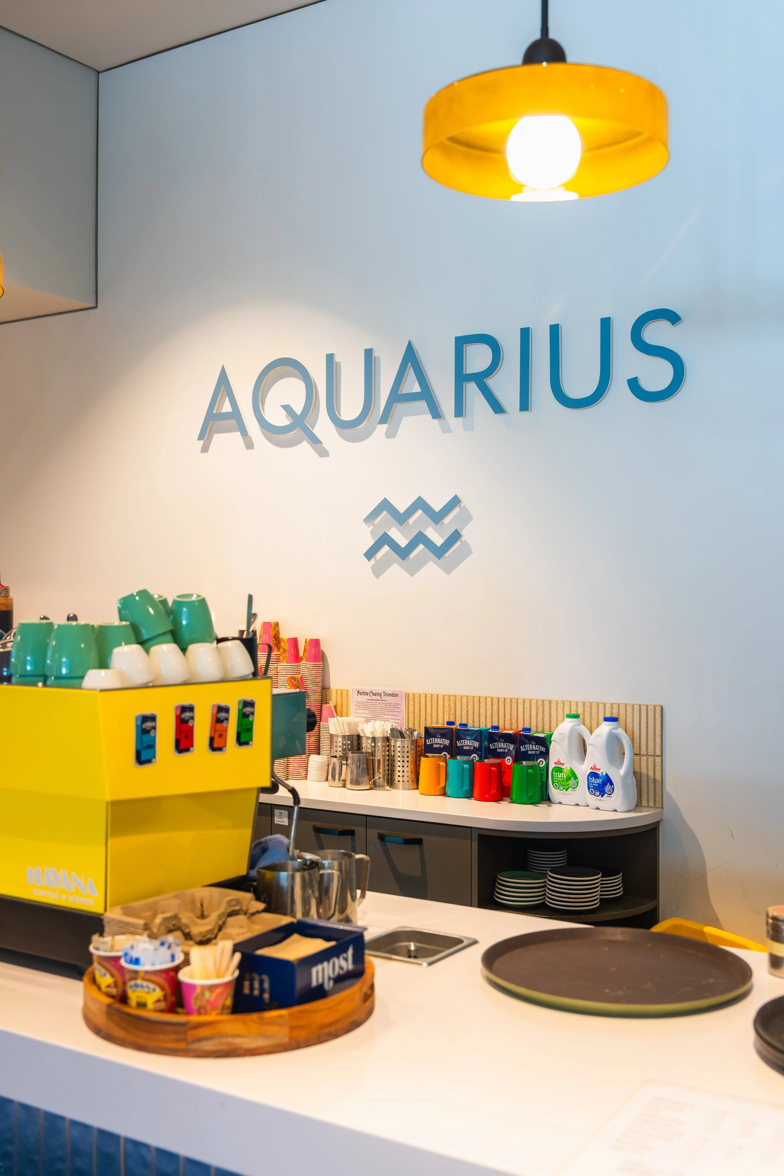 Havana x Aquarius-125.jpg