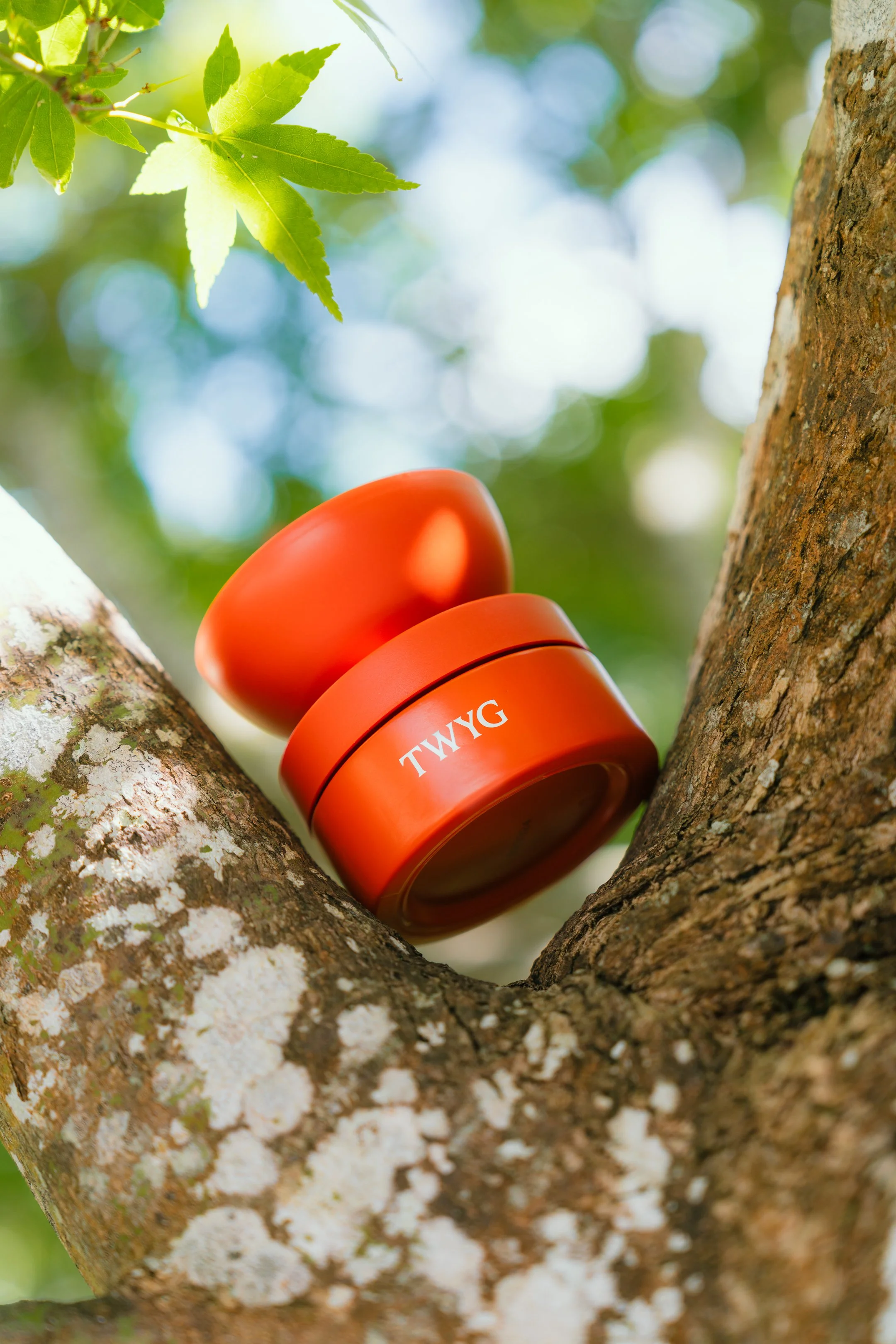 Scott Howes - TWYG - 3.jpg