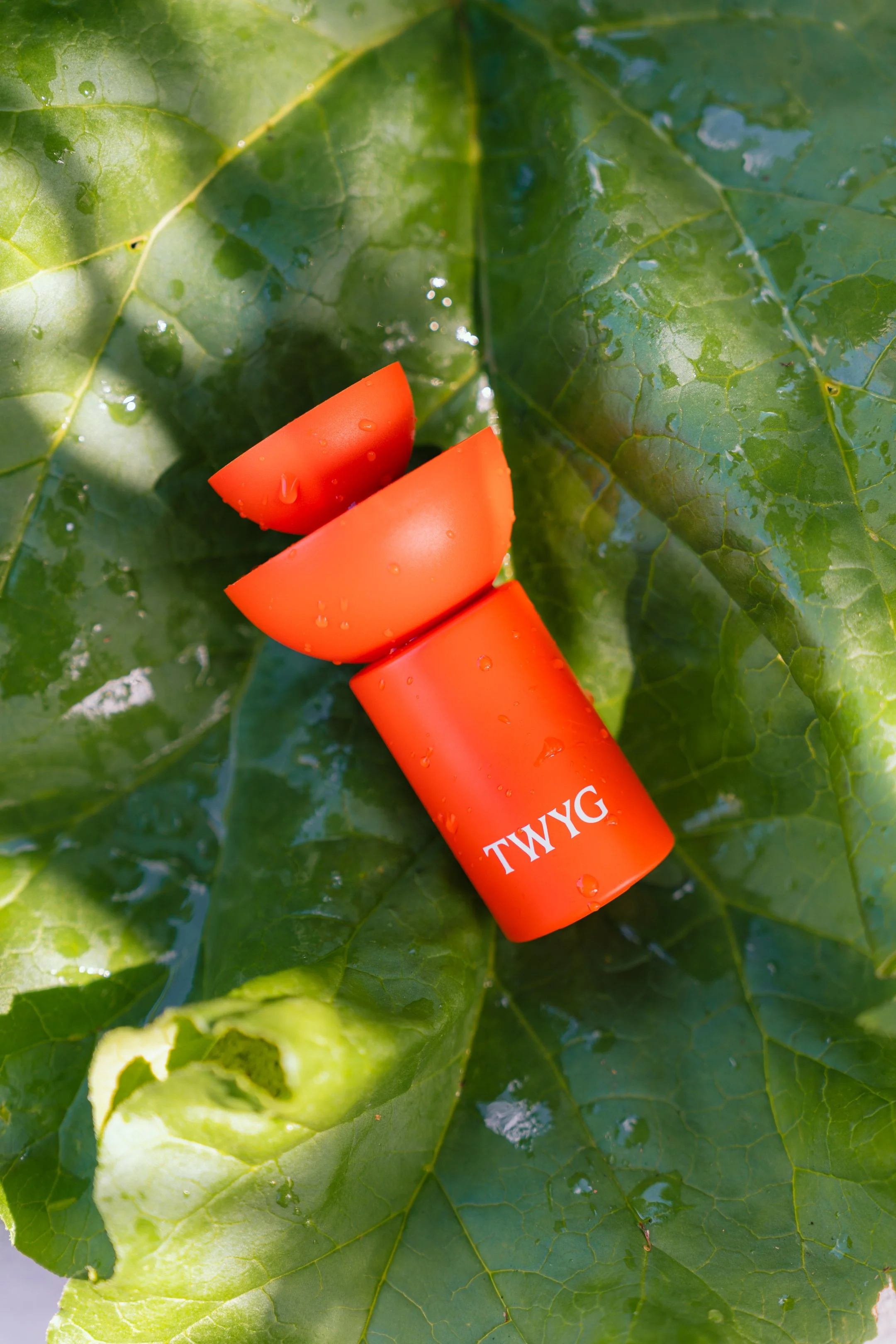 Scott Howes - TWYG - 6.jpg