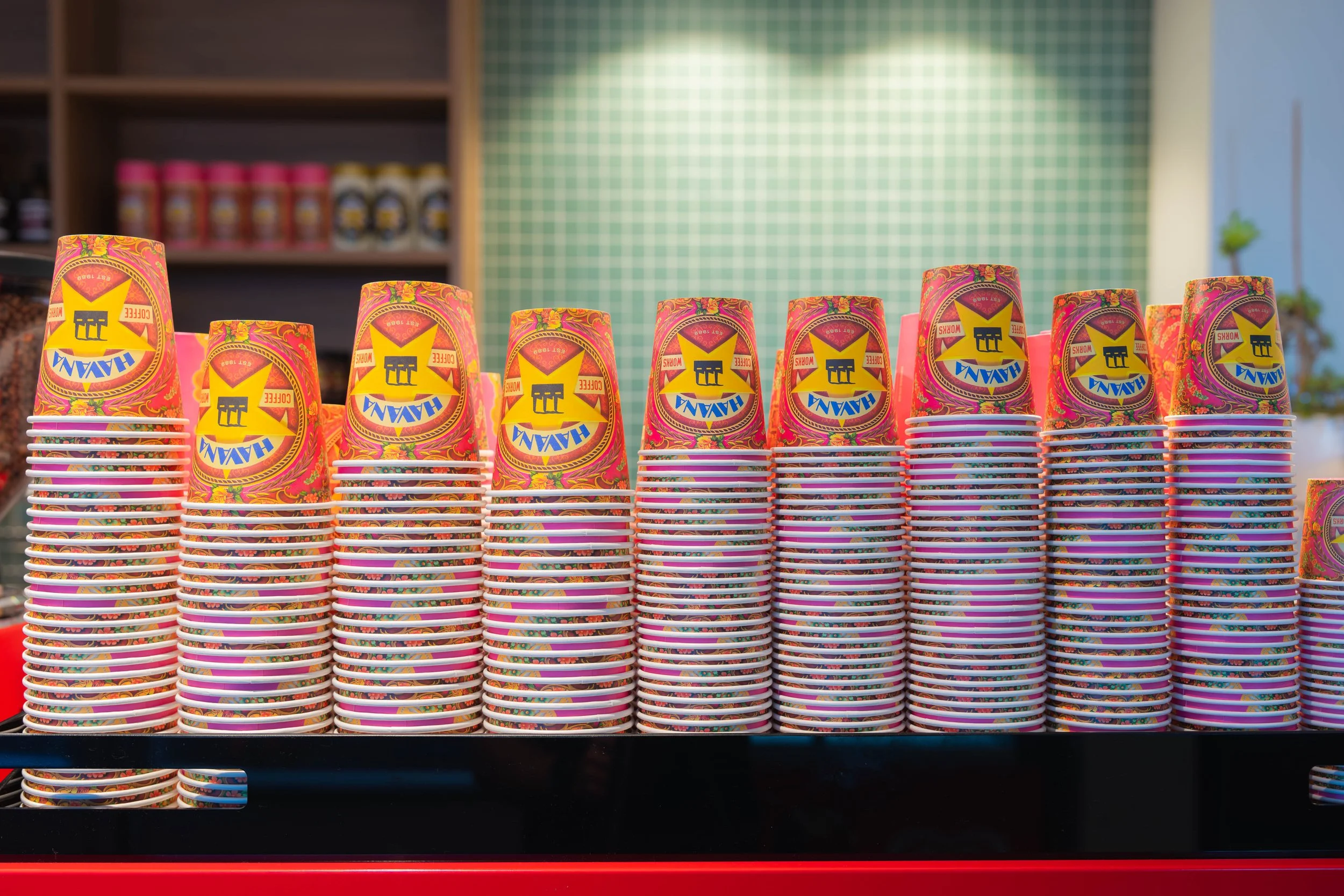 Havana x Aquarius-111.jpg