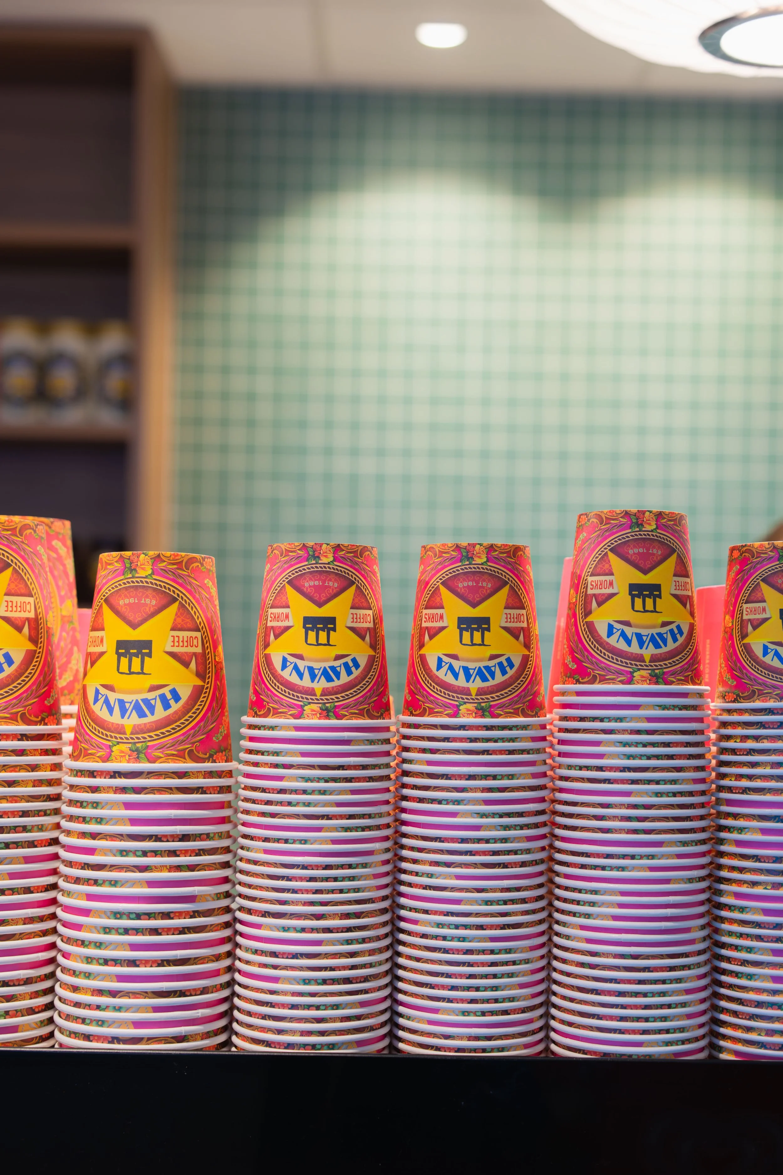 Havana x Aquarius-114.jpg