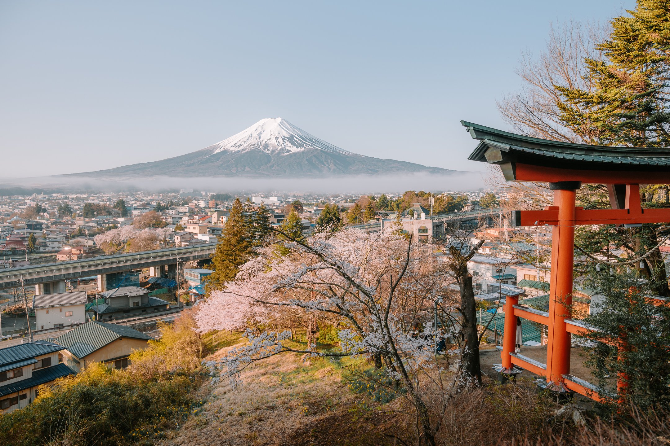 Fuji pagoda.jpg