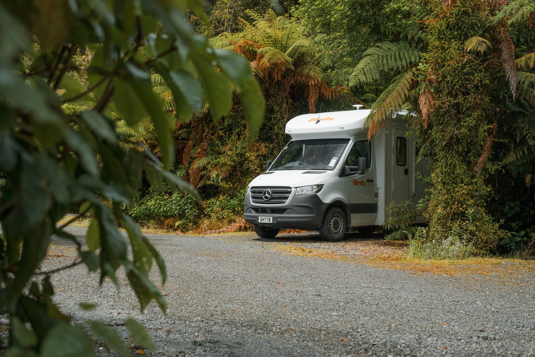 Britz - Visit Wherever bush shot 7.jpg