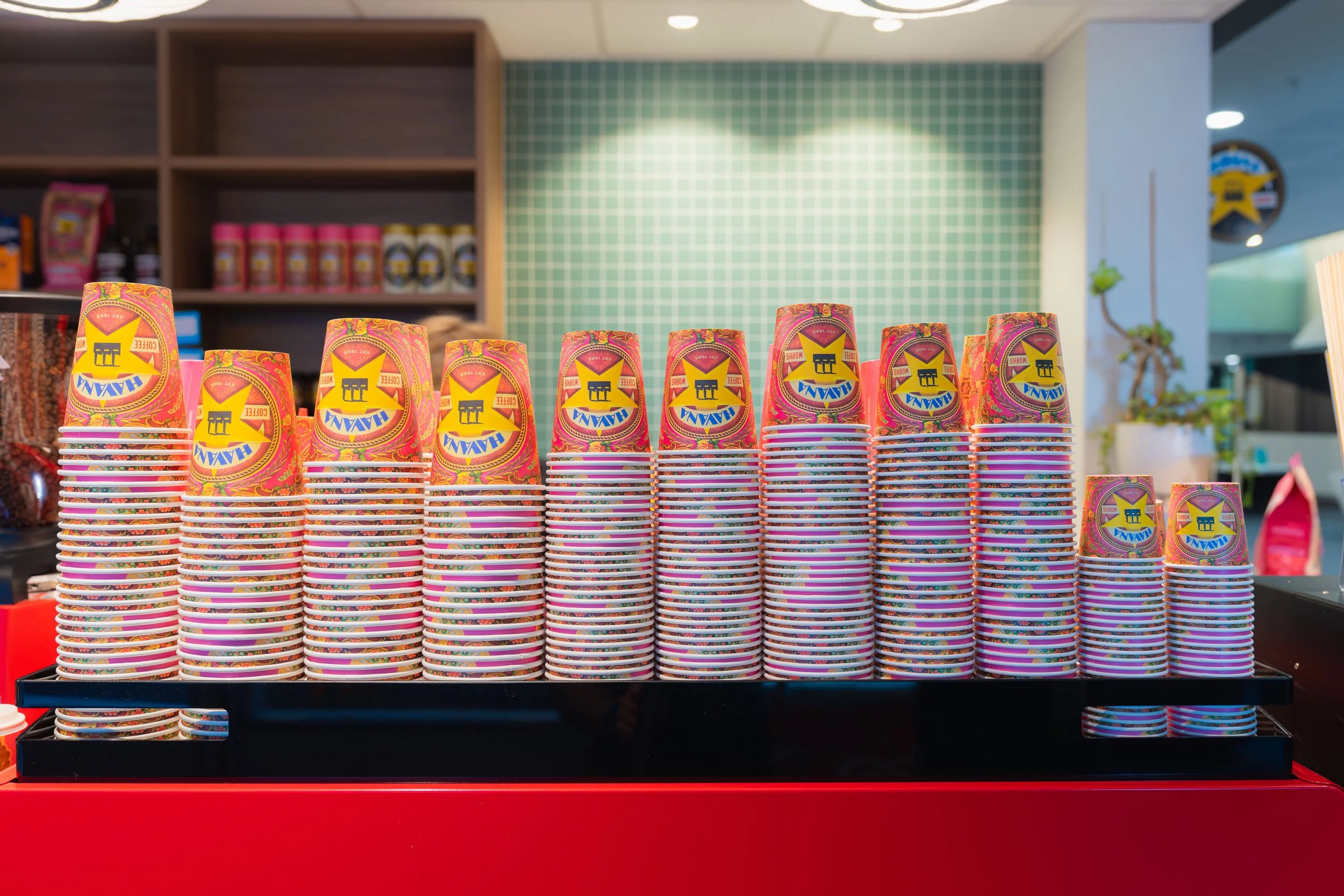 Havana x Aquarius-112.jpg