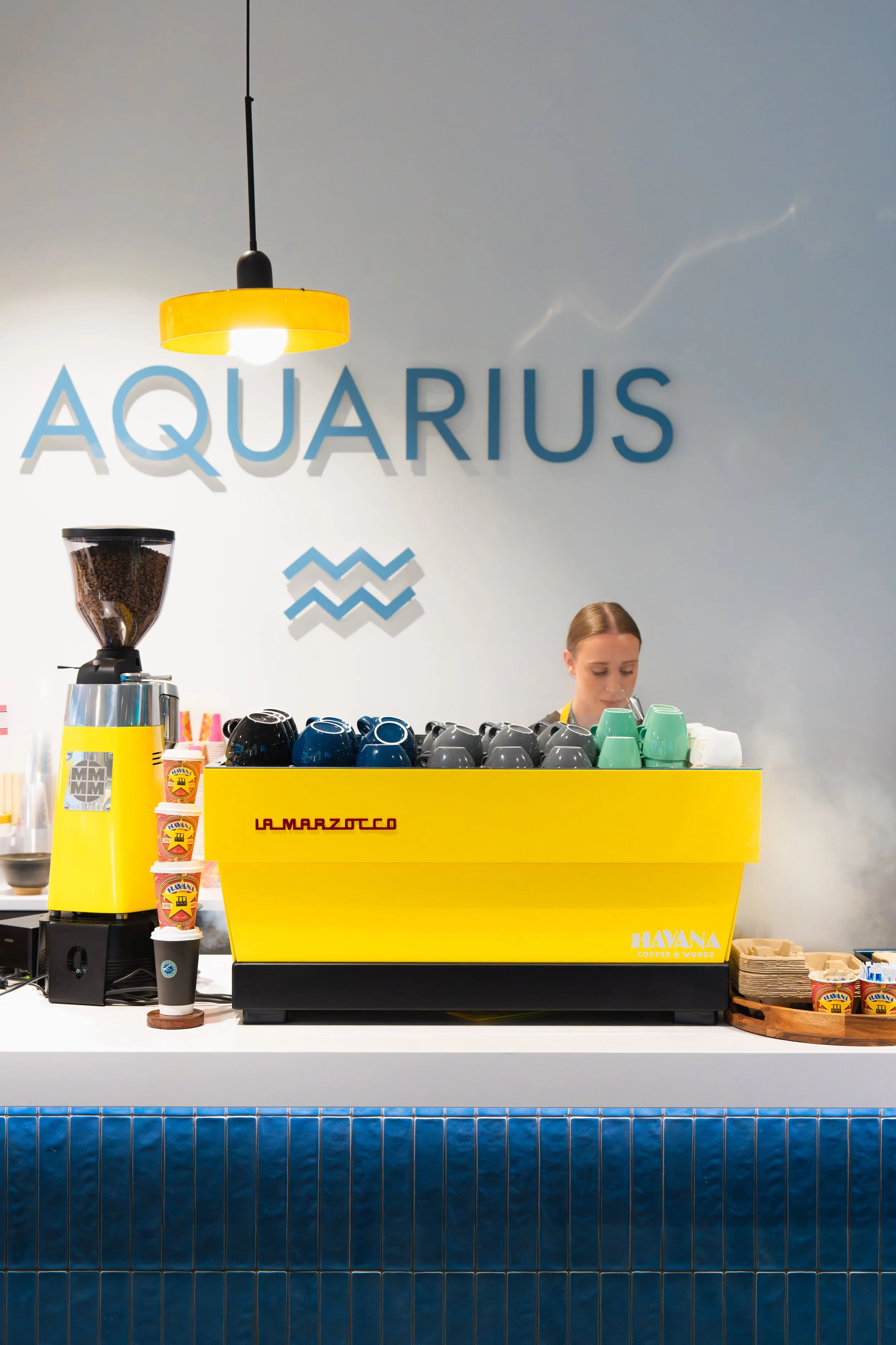 Havana x Aquarius-17.jpg