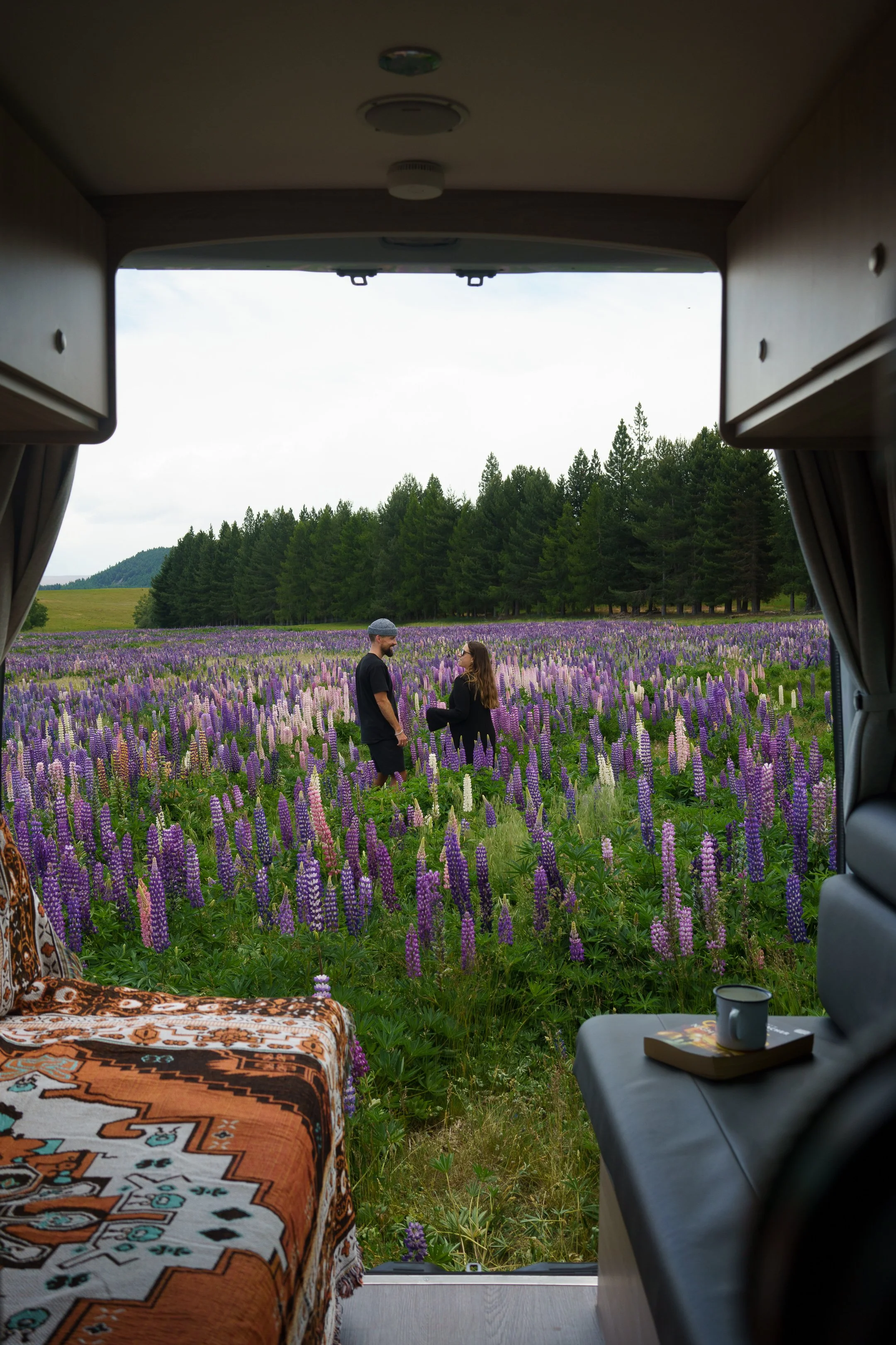 Britz - Visit Wherever Lupins-12.jpg