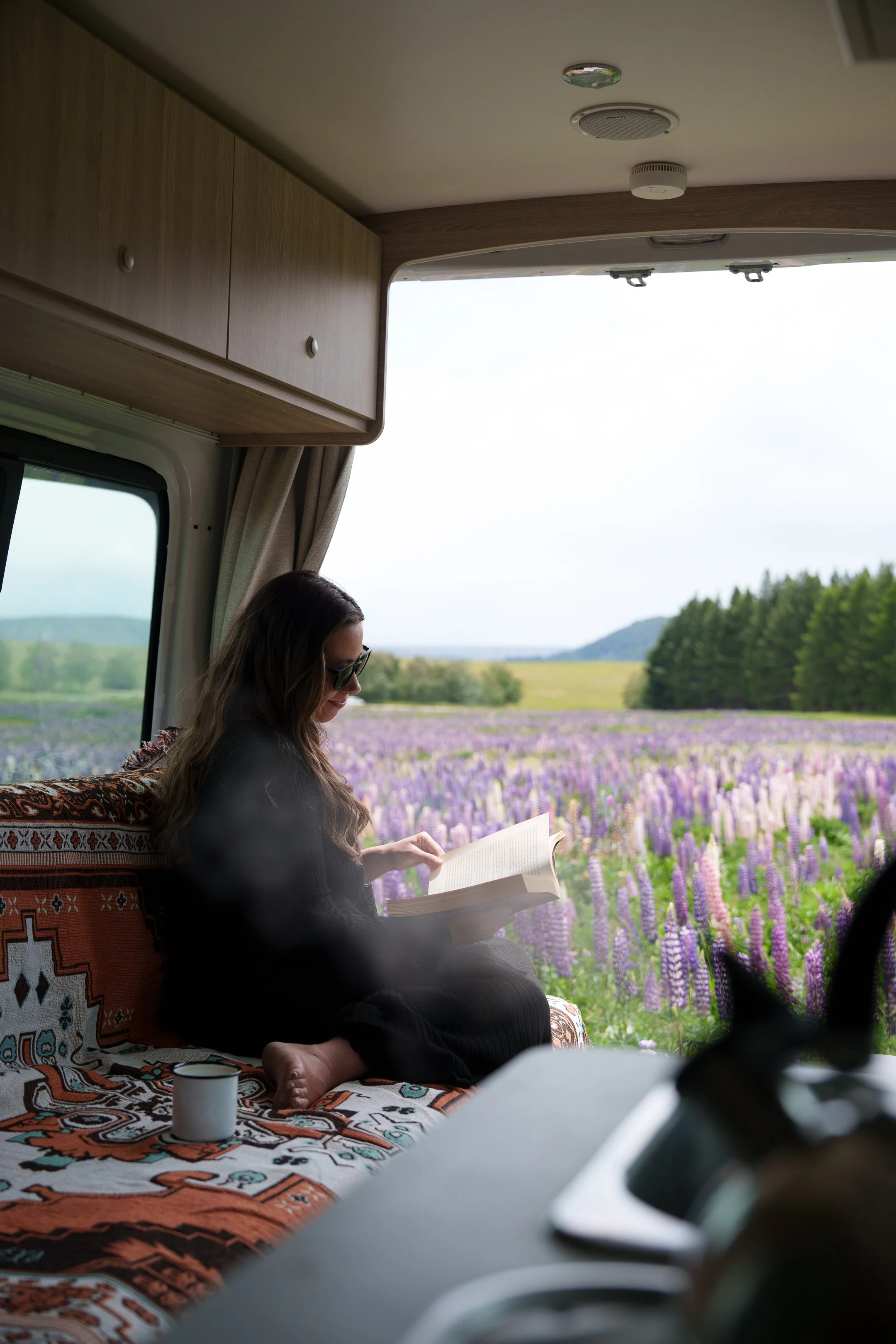 Britz - Visit Wherever inside-7-6.jpg