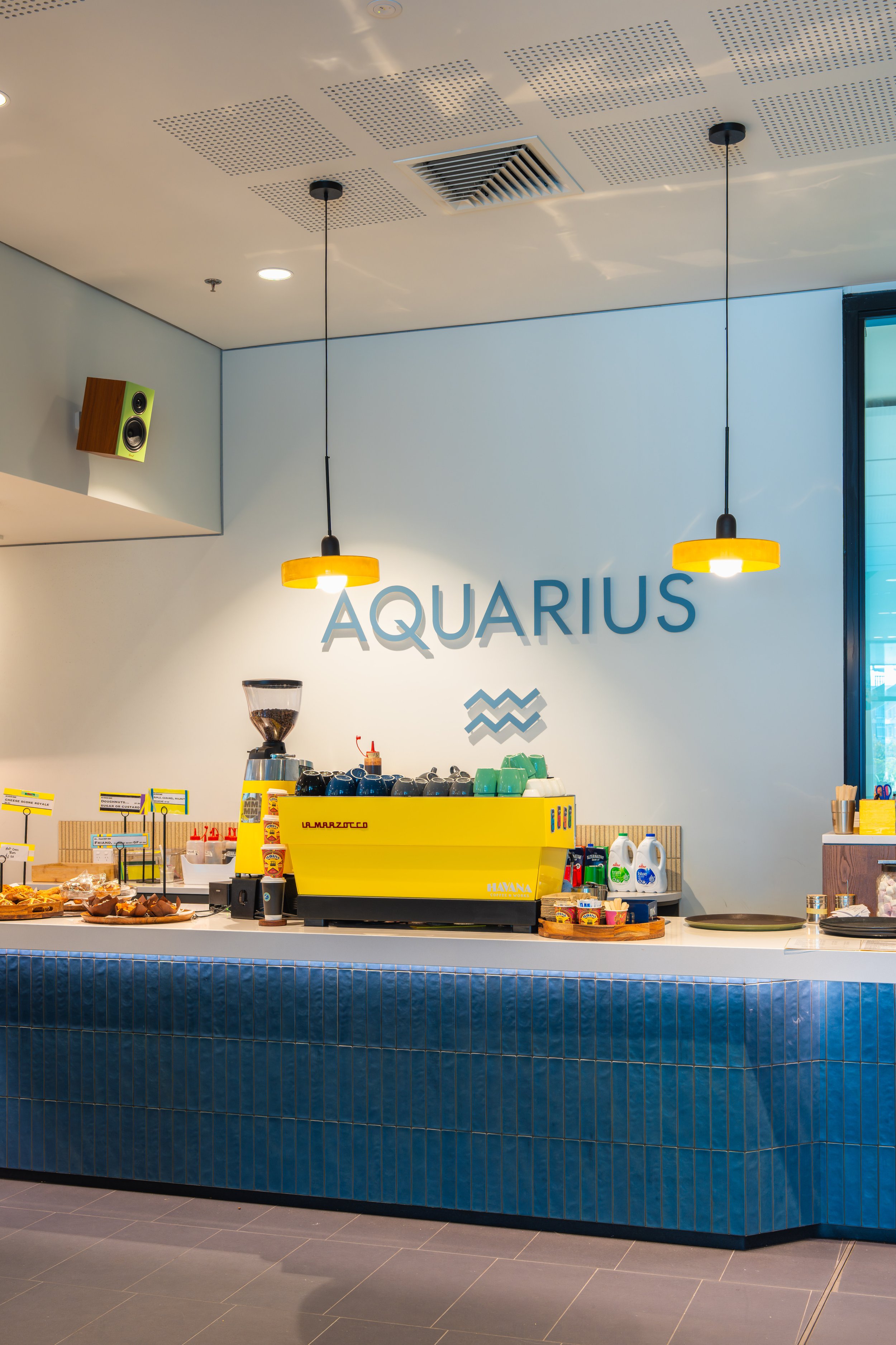 Havana x Aquarius-120.jpg