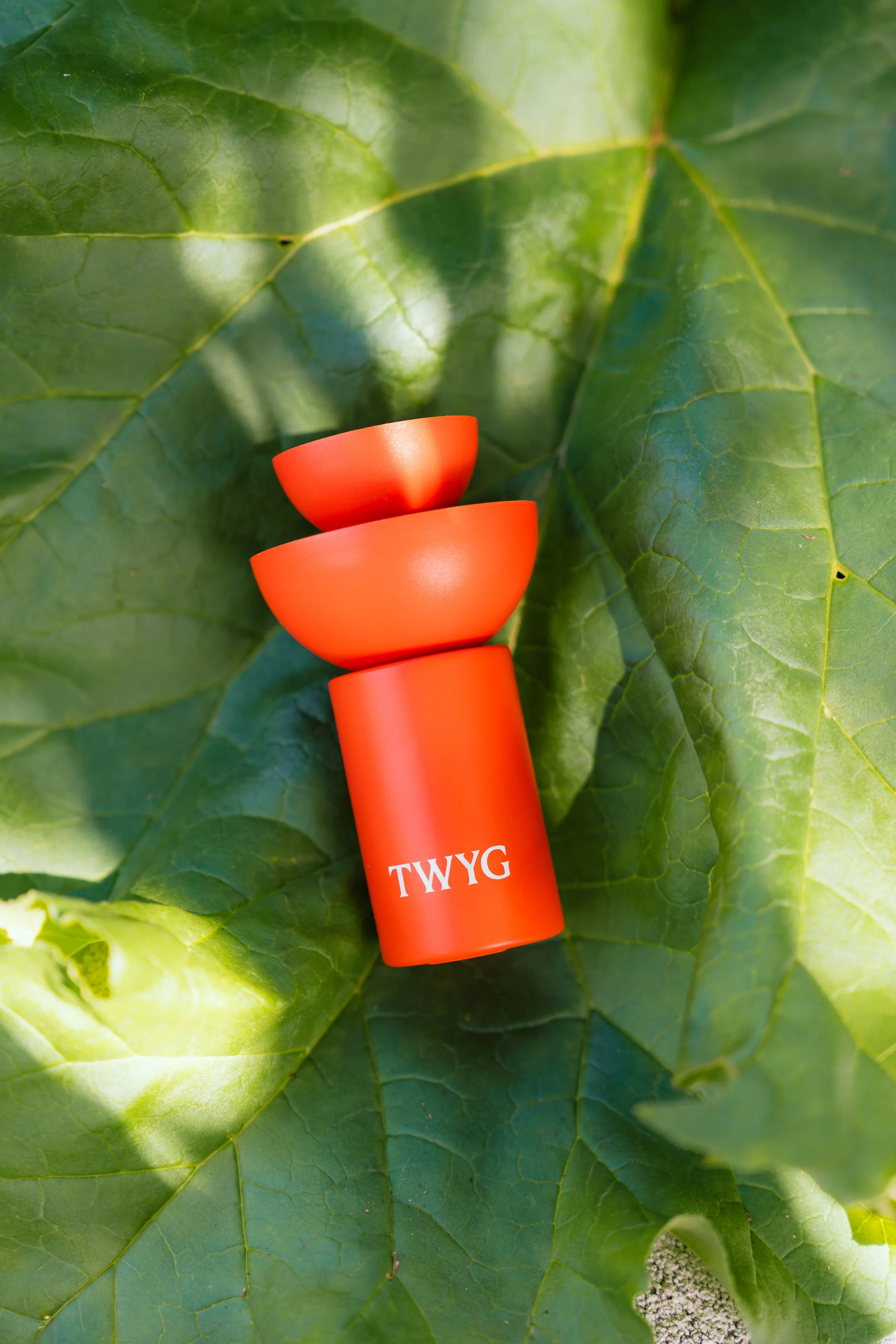 Scott Howes - TWYG - 5.jpg