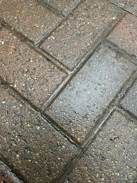 Close-up of wet brick pavement with visible mortar lines and small pebbles embedded in some bricks.