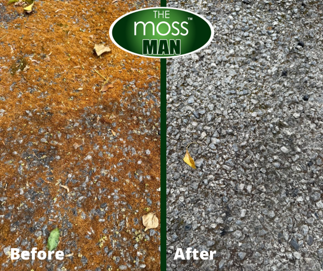 Comparison of a surface before and after moss removal, showing a patchy, reddish-brown surface on the left and a cleaner, gray surface on the right with the label 'The Moss Man' at the top and 'Before' and 'After' at the bottom.