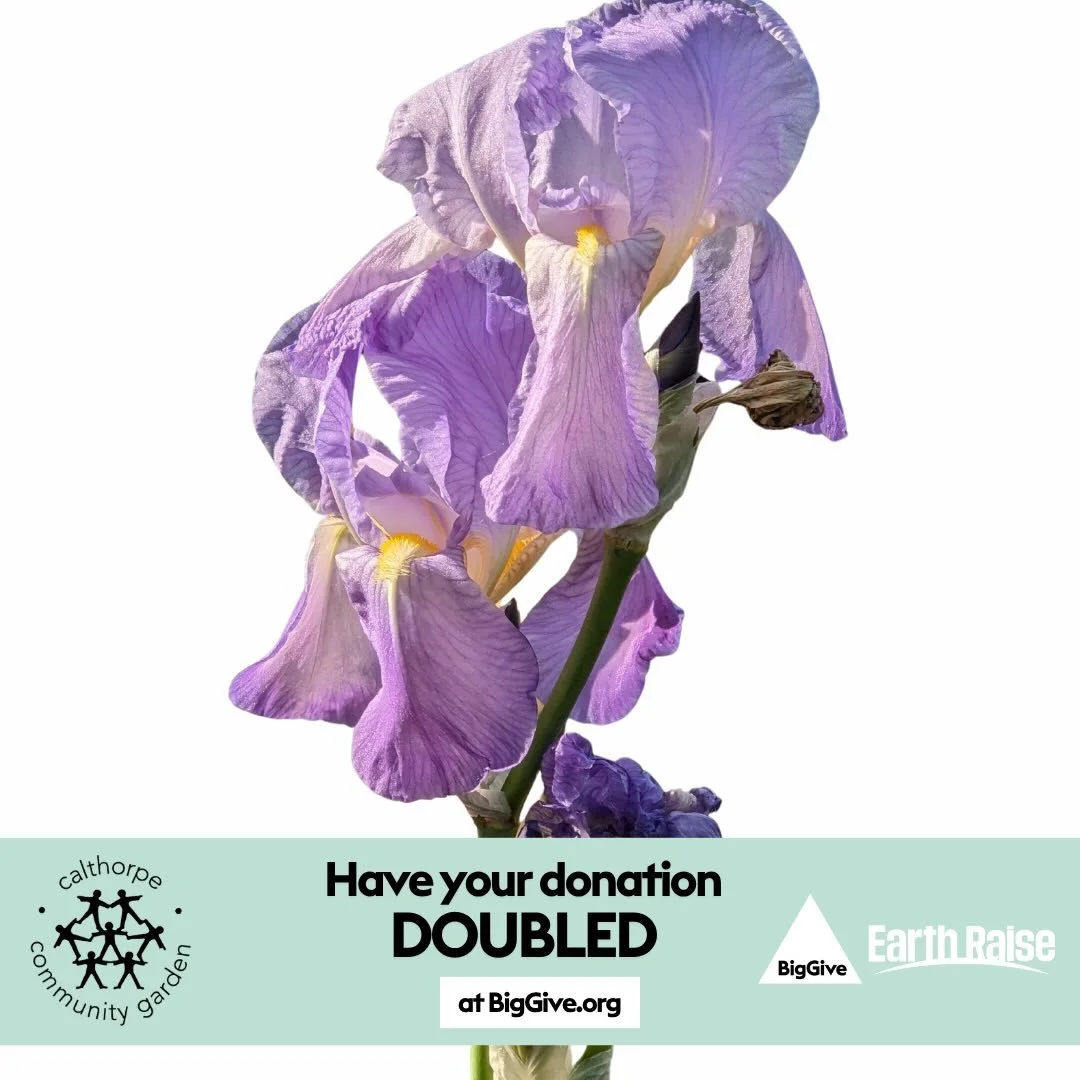 We&rsquo;re excited to be part of #EarthRaise 2026! Save the date: 22&ndash;29 April. Your donation will be doubled.