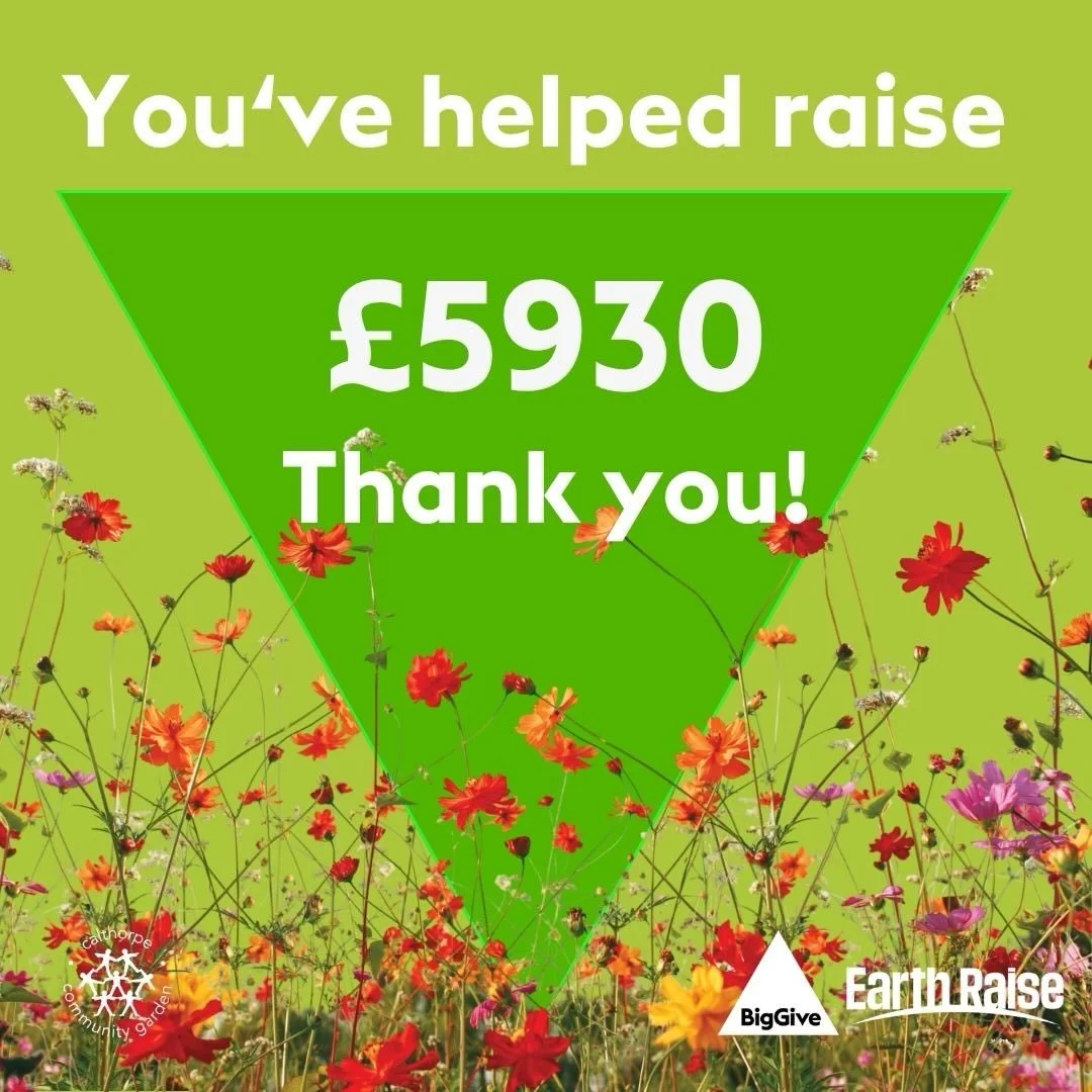 🪴THANK YOU🪴

We managed to raise &pound;5930 (including match funding via the Big Give) for the renovation of our wild garden. We plan to create ponds and habitats, boosting biodiversity, conserving water and widening community access. 

Thank you 
