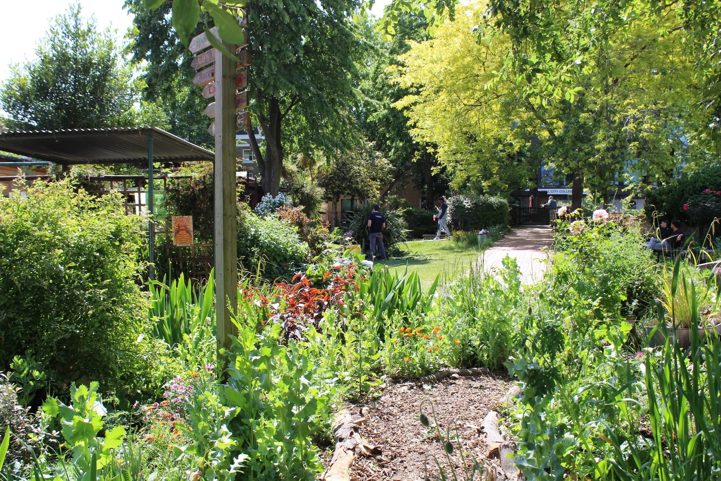 The sun came out and our garden started to sing !

🪴💚🌻