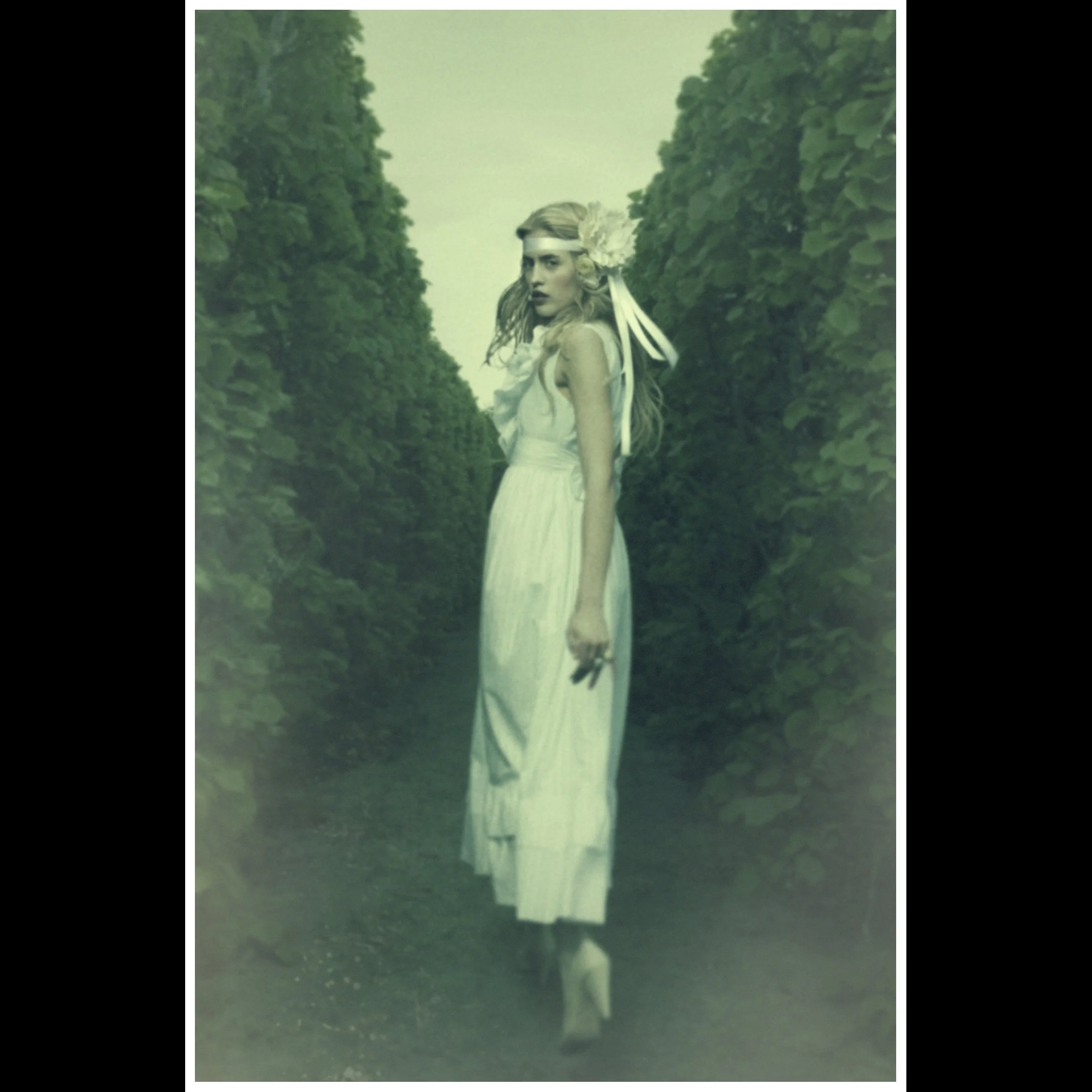 C-Maze-92x62.jpg