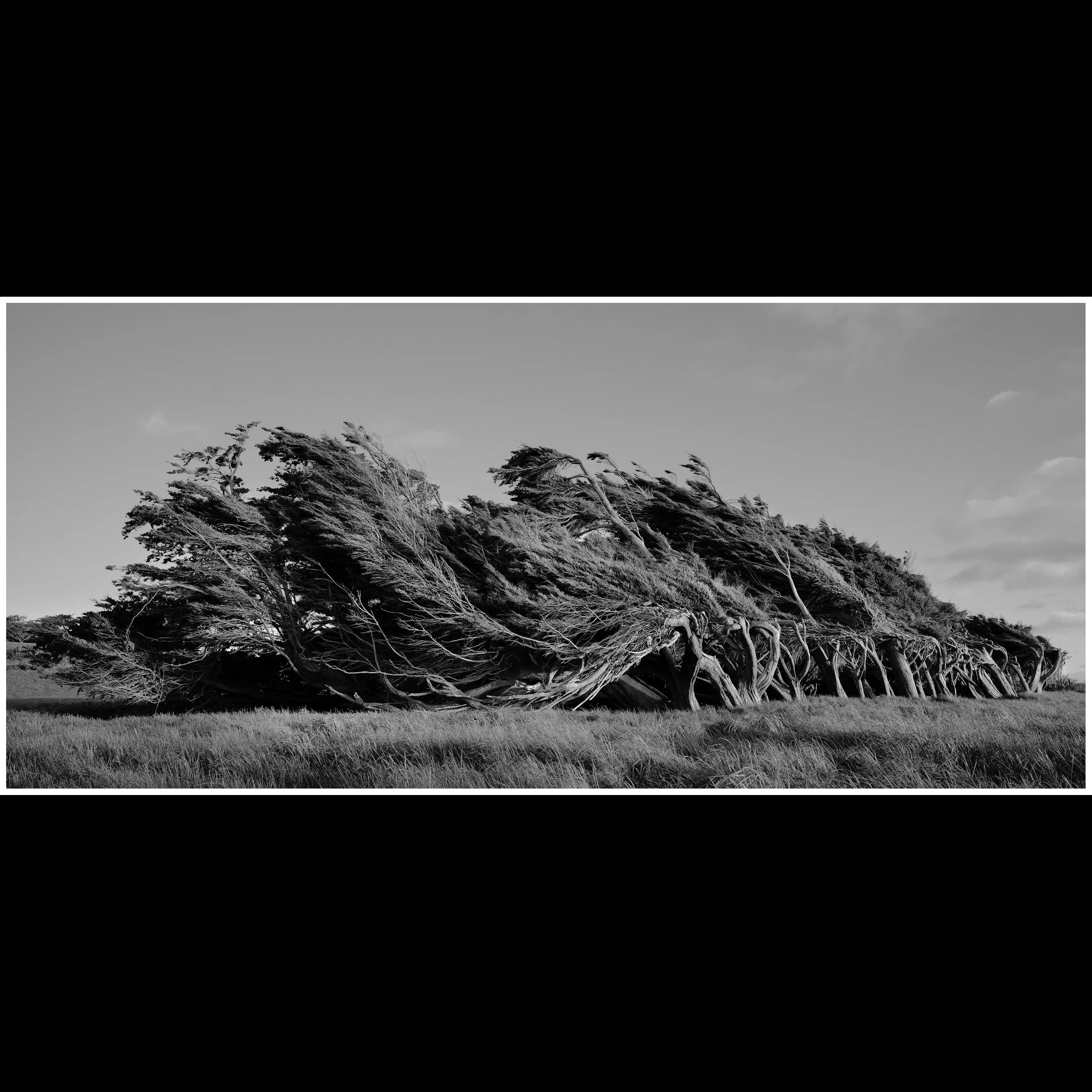 c-End of the world 90x200.jpg