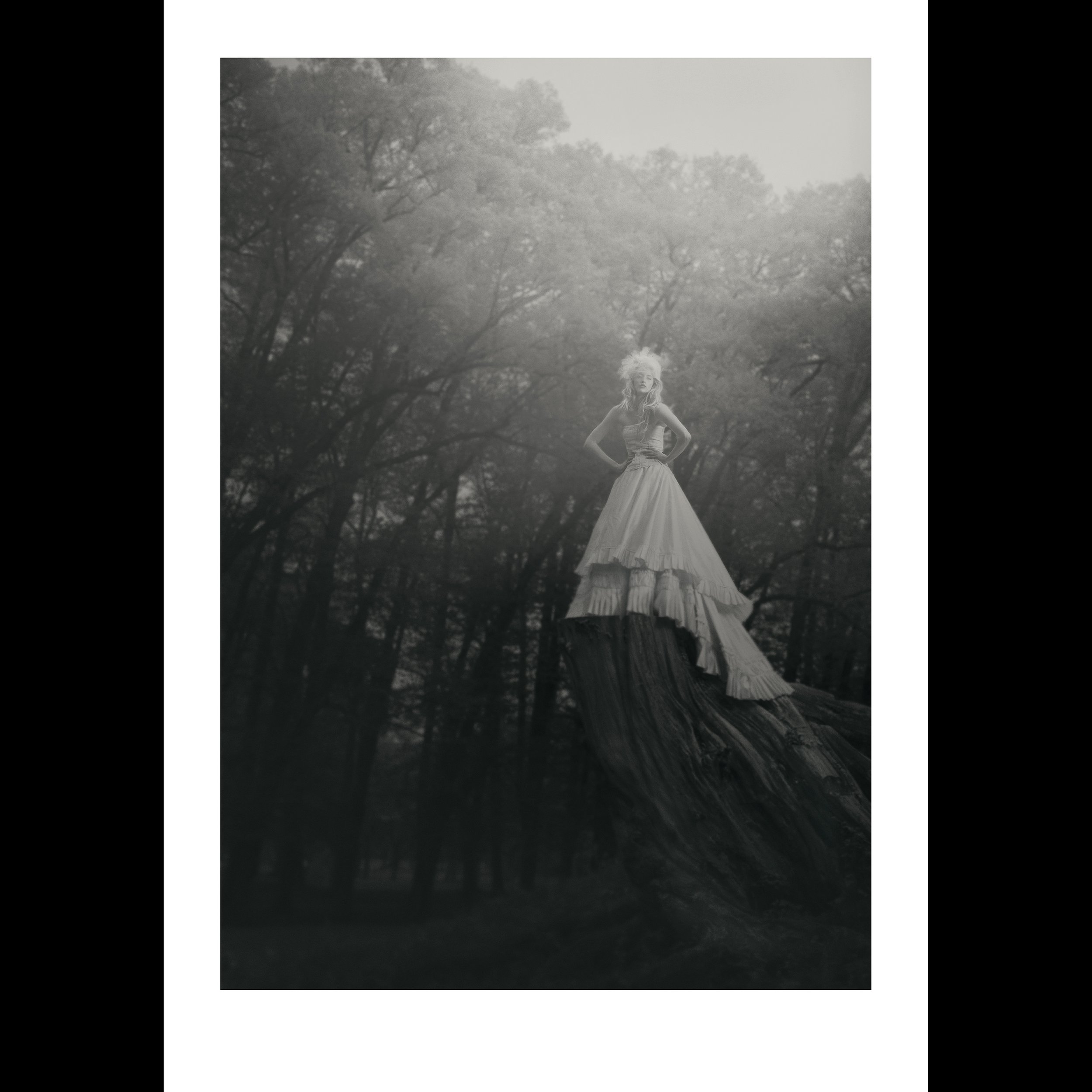 Forest Spirit