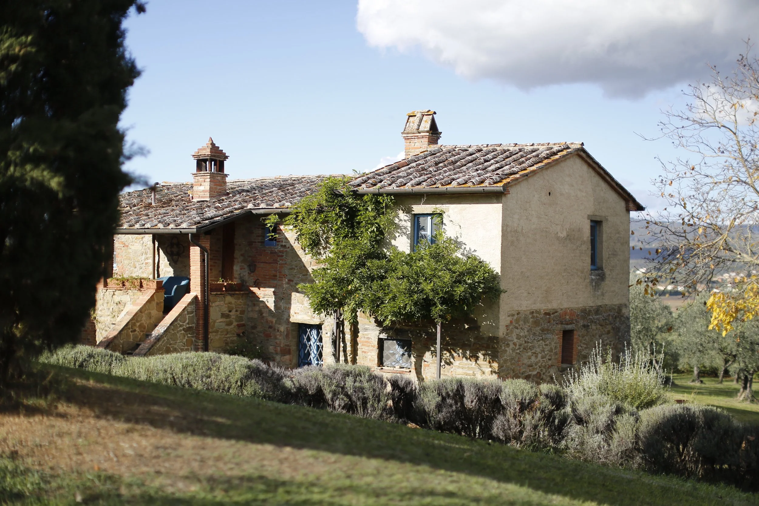 Farmhouse Clear.jpeg