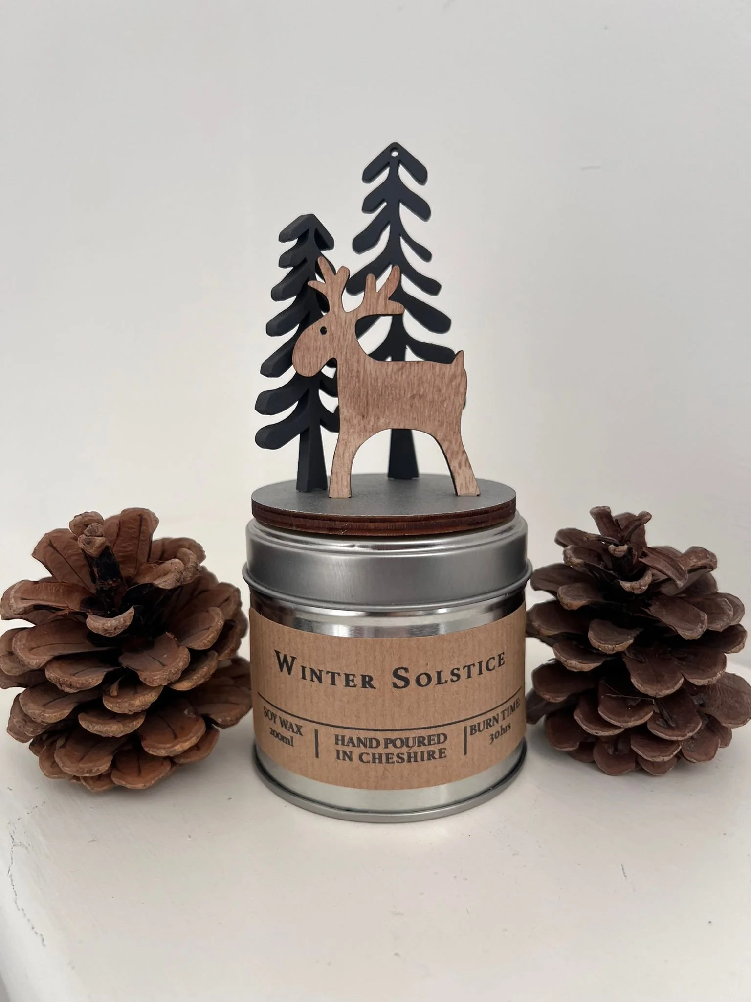 Winter Solstice Candle 3.JPG