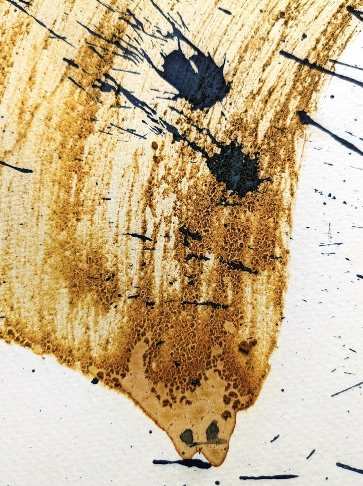 Screenshot 2026-02-04 at 12.57.17 PM.png