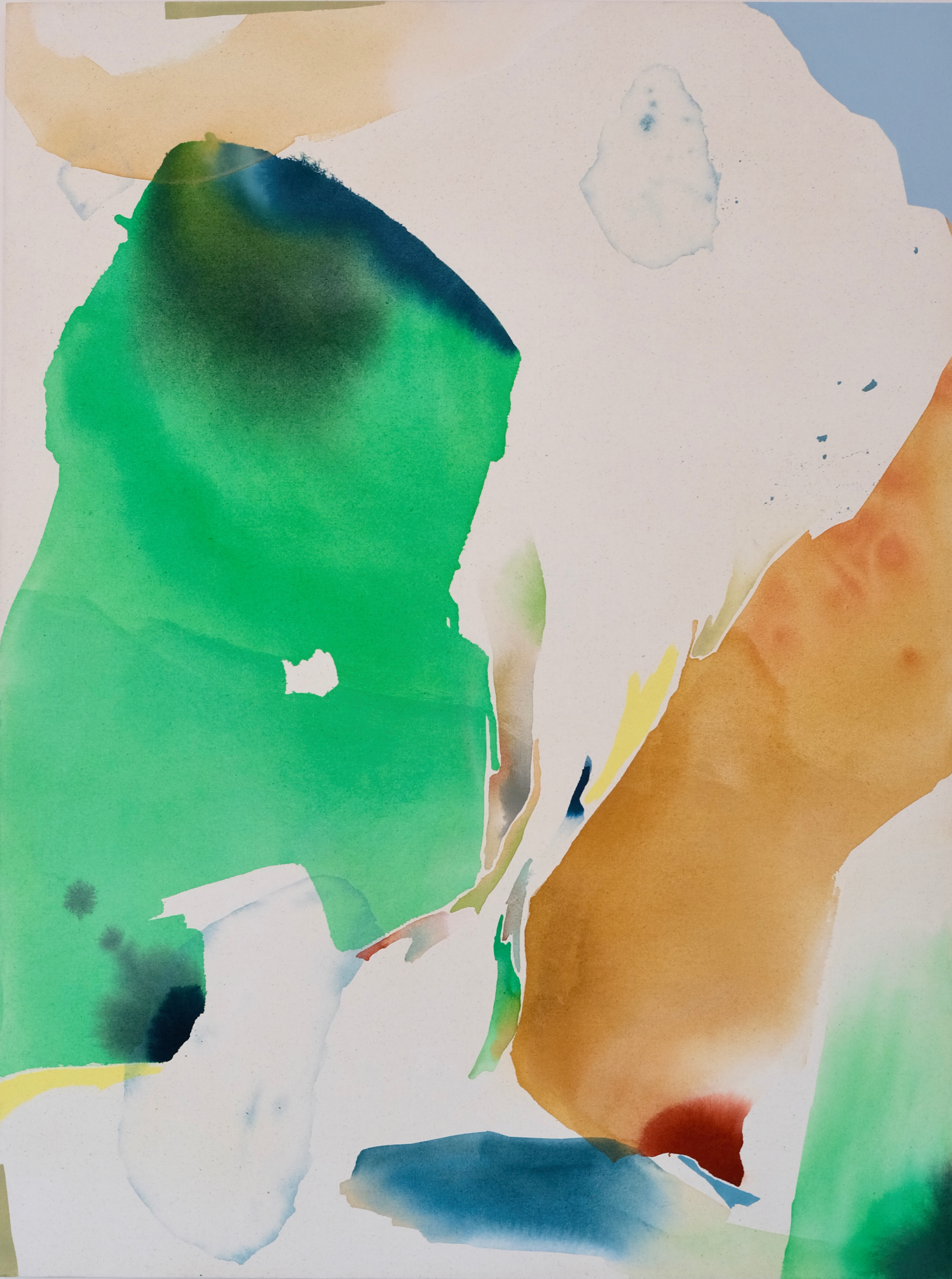 Desert to Lush Lands_Artwork Image.webp