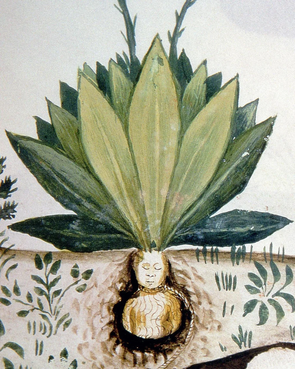 &ldquo;Symbolically, the mandrake is ambiguous. It gives life and brings death; it heals and it poisons. &lsquo;In general, the mandrake symbolized forces humans must approach only with great caution&rsquo;. Different ages have pictured these forces 