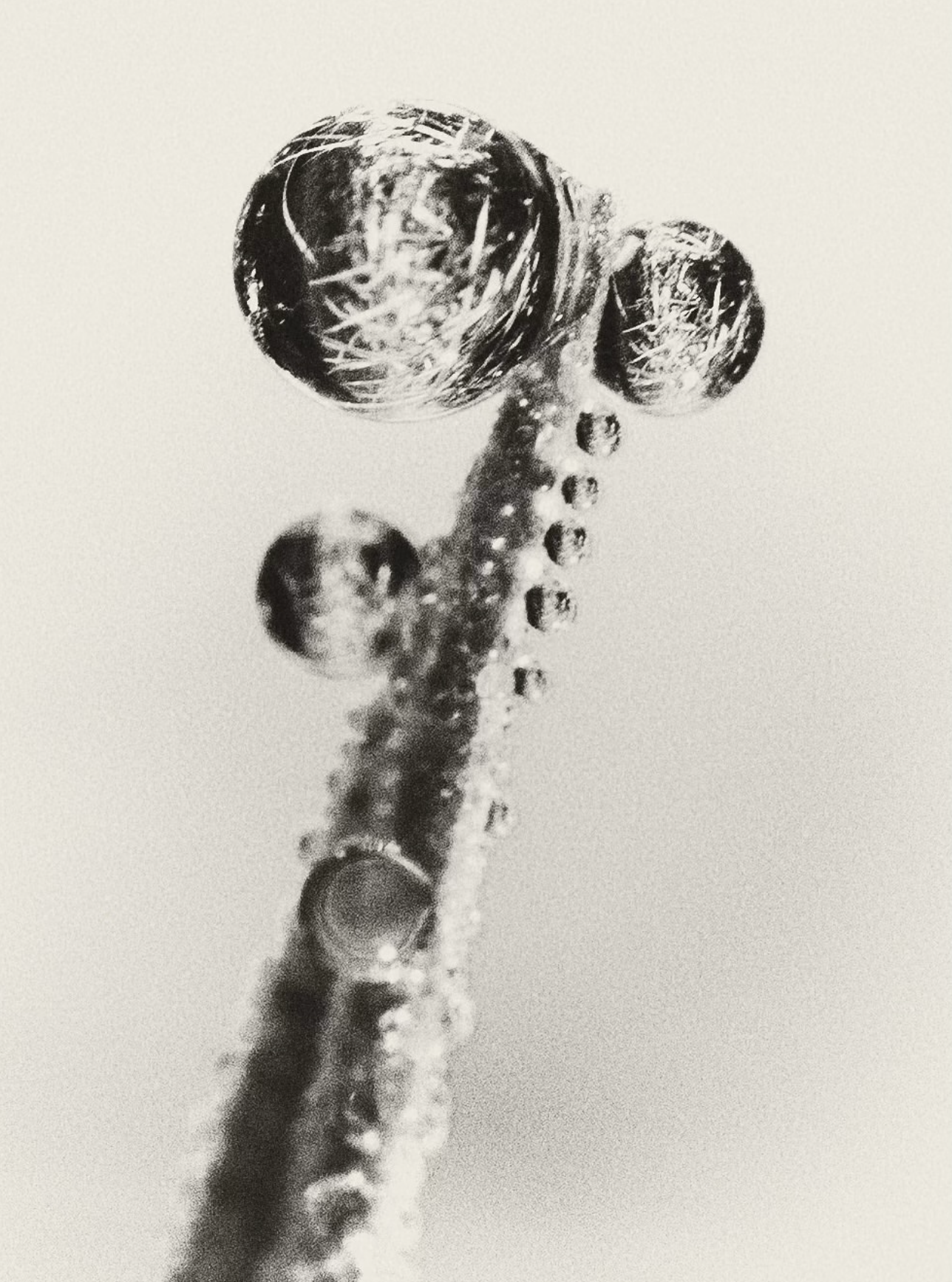 BLOOM FARM_192234.png