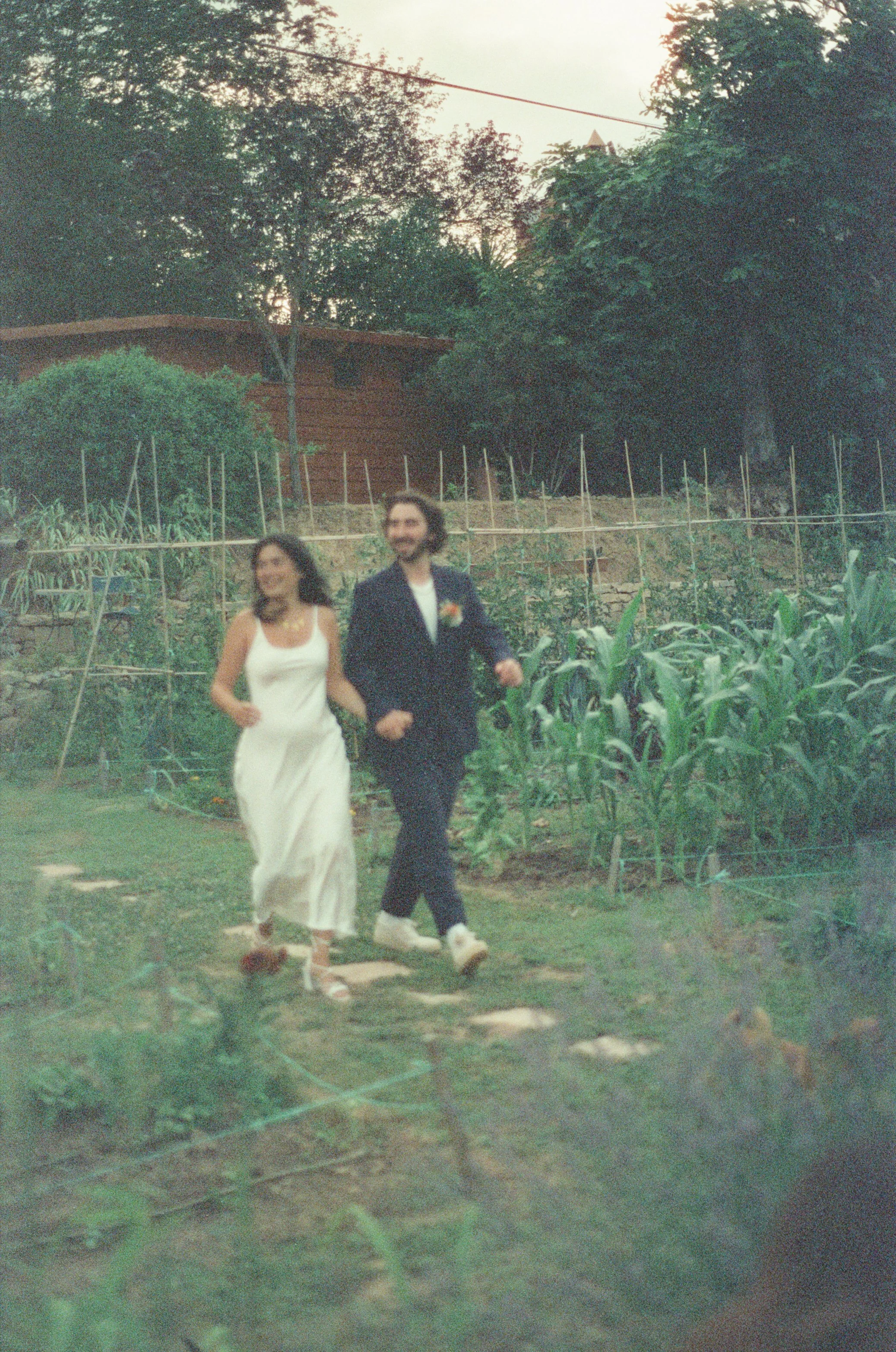 000019890021.jpg
