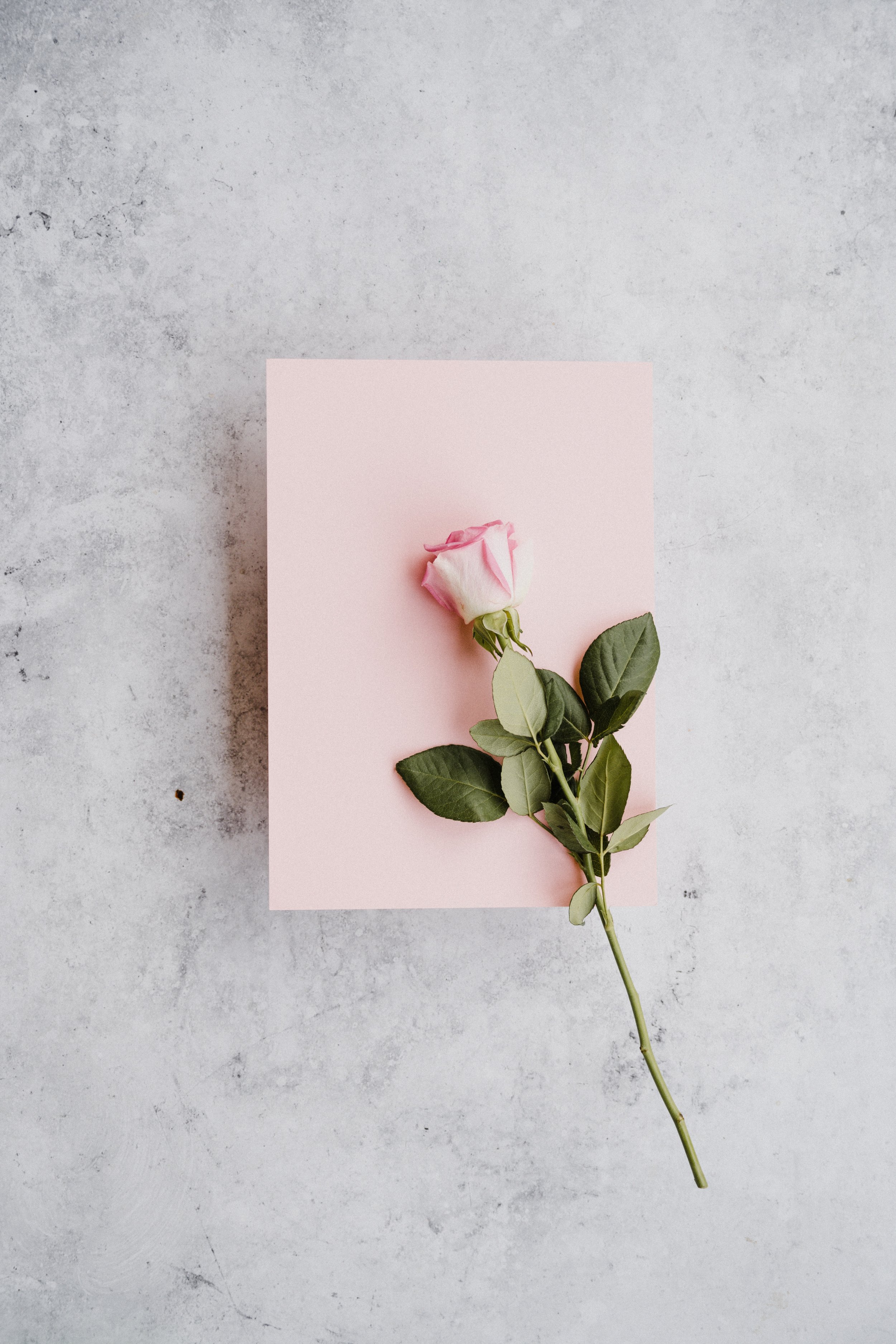 annie-spratt-eOgKSOJwyls-unsplash.jpg