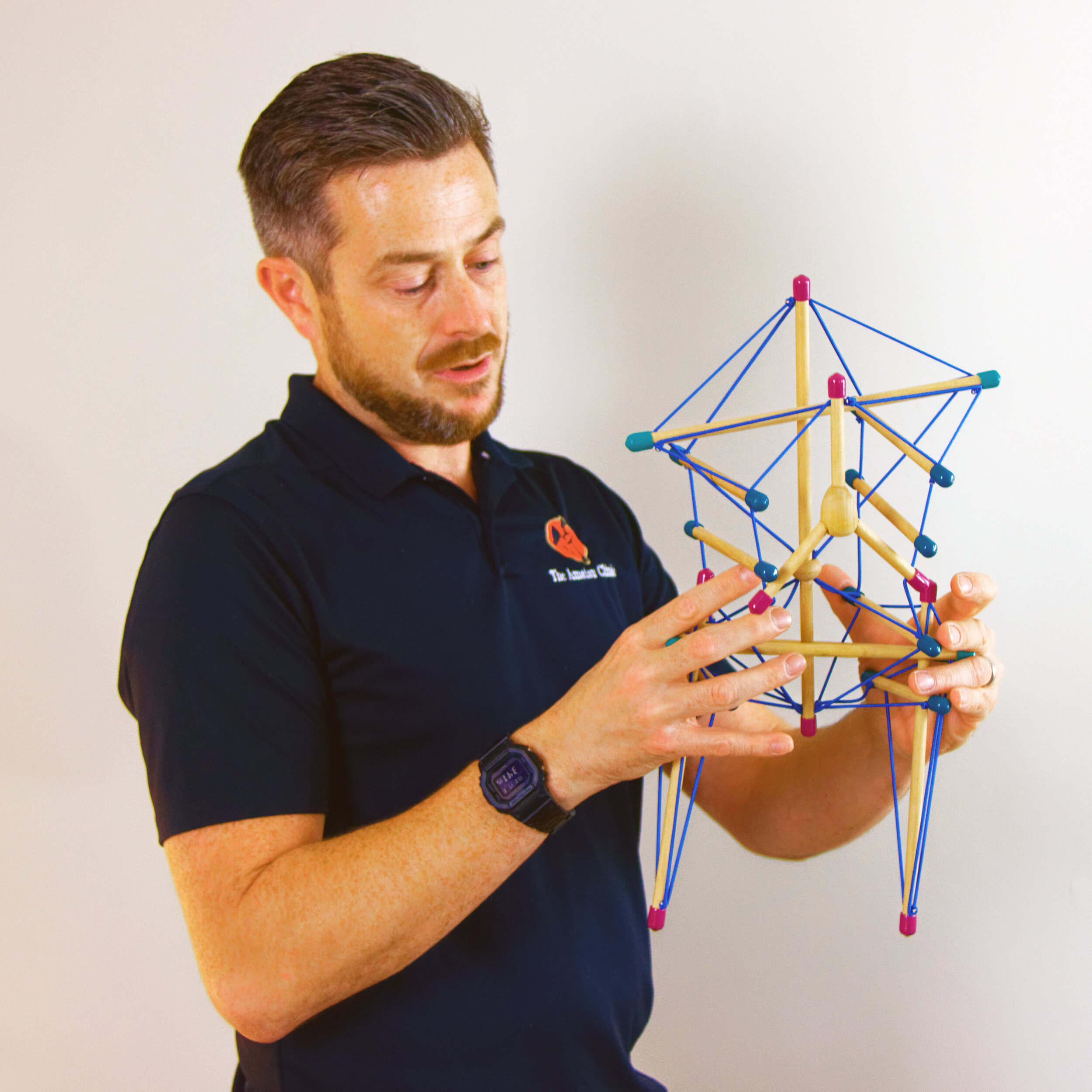 Biotensegrity Image.jpg