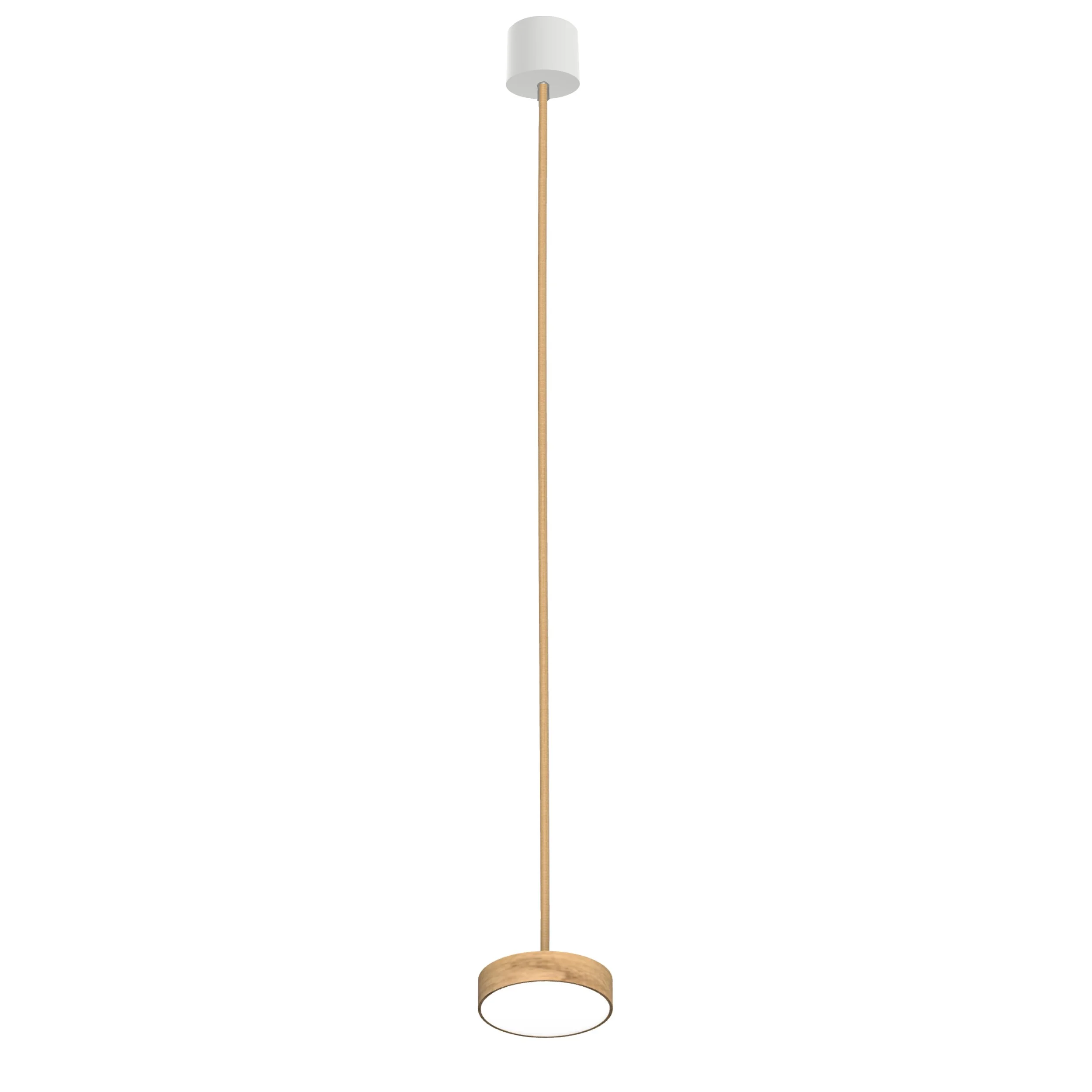 Lilu xS Oak.jpg