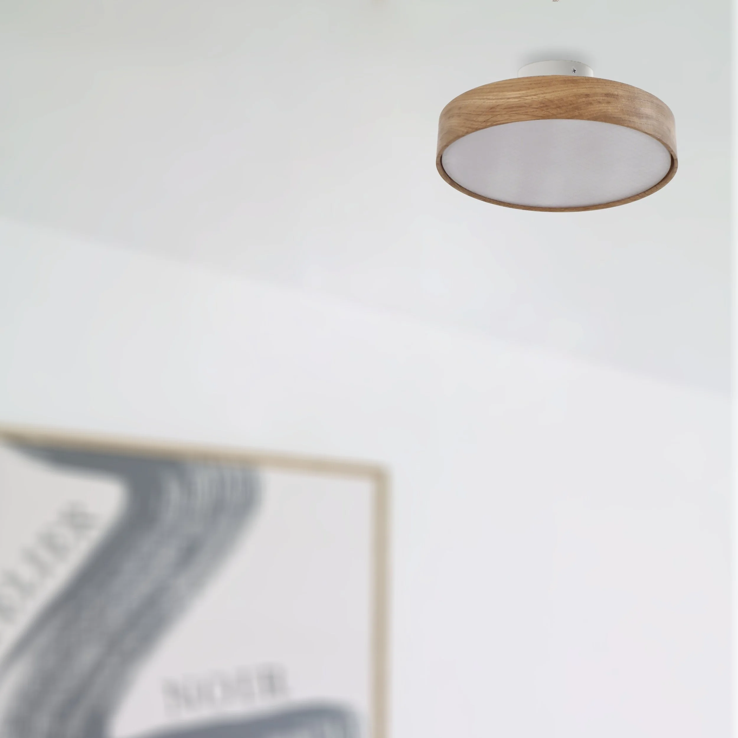 Lilu Ceiling S The Oak