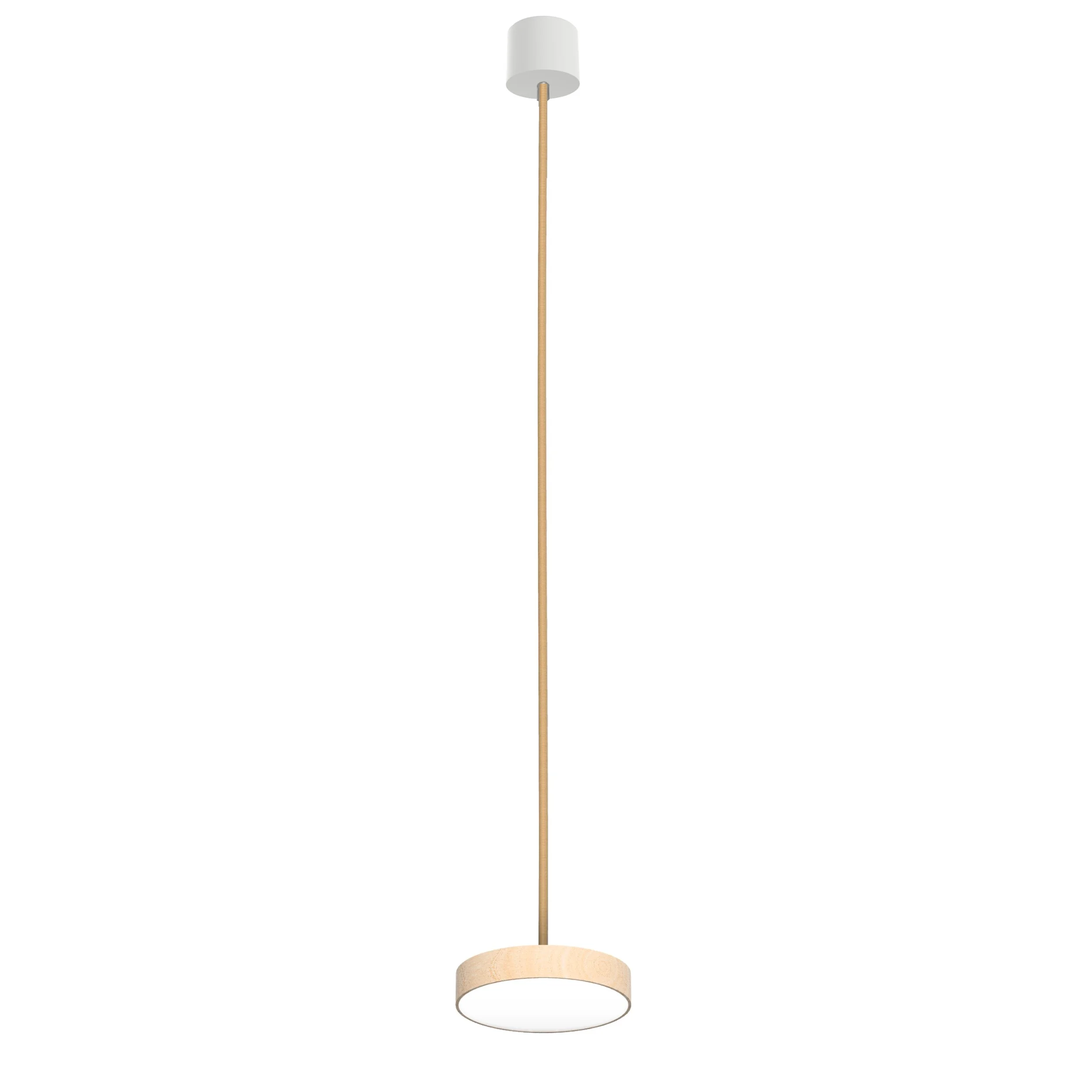 Lilu S Ash Render_2500.jpg