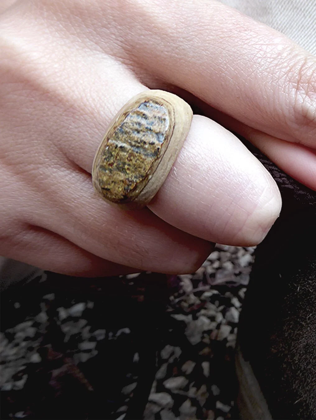 I, seguint amb les presentacions dels anells de diferents fam&iacute;lies de branques... avui, un anell de faig, que per coses de la vida es diu Avet 😂

#artesania #anells #fusta #joiesartesanes #rings #anillos #firadelavet