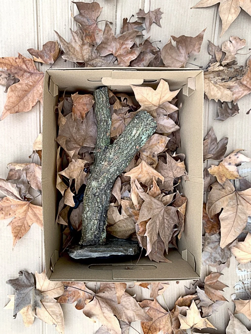 Tot a punt perqu&egrave; us emporteu les l&agrave;mpades i anells de bdbosc a casa 🏡

Com podeu veure, tot ben natural, collit i fet a m&agrave; 🧺

Qu&egrave; en penseu del nostre embalatge biodegradable? 🍂

#l&agrave;mpadesartesanes #l&aacute;mpa