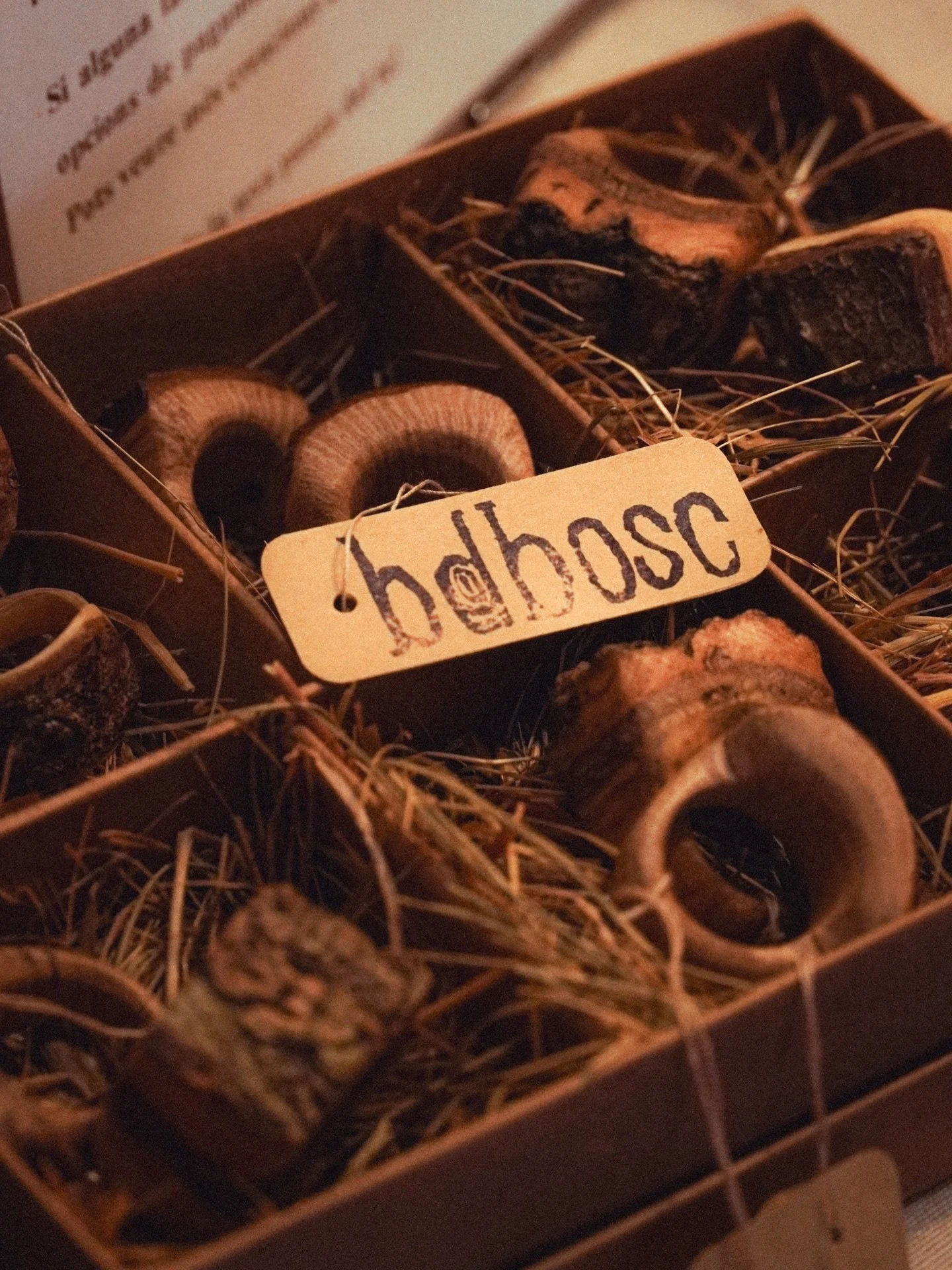 Anells fets a m&agrave; amb branques d&rsquo;alzina, roure, pi, surera, faig&hellip; tot collit al bosc 🤎

🤚Si voleu provar i remenar, aprofiteu aquests &uacute;ltims dies que els trobareu a @sienteinfusions !

🪚 Si us enamoreu d&rsquo;algun que n