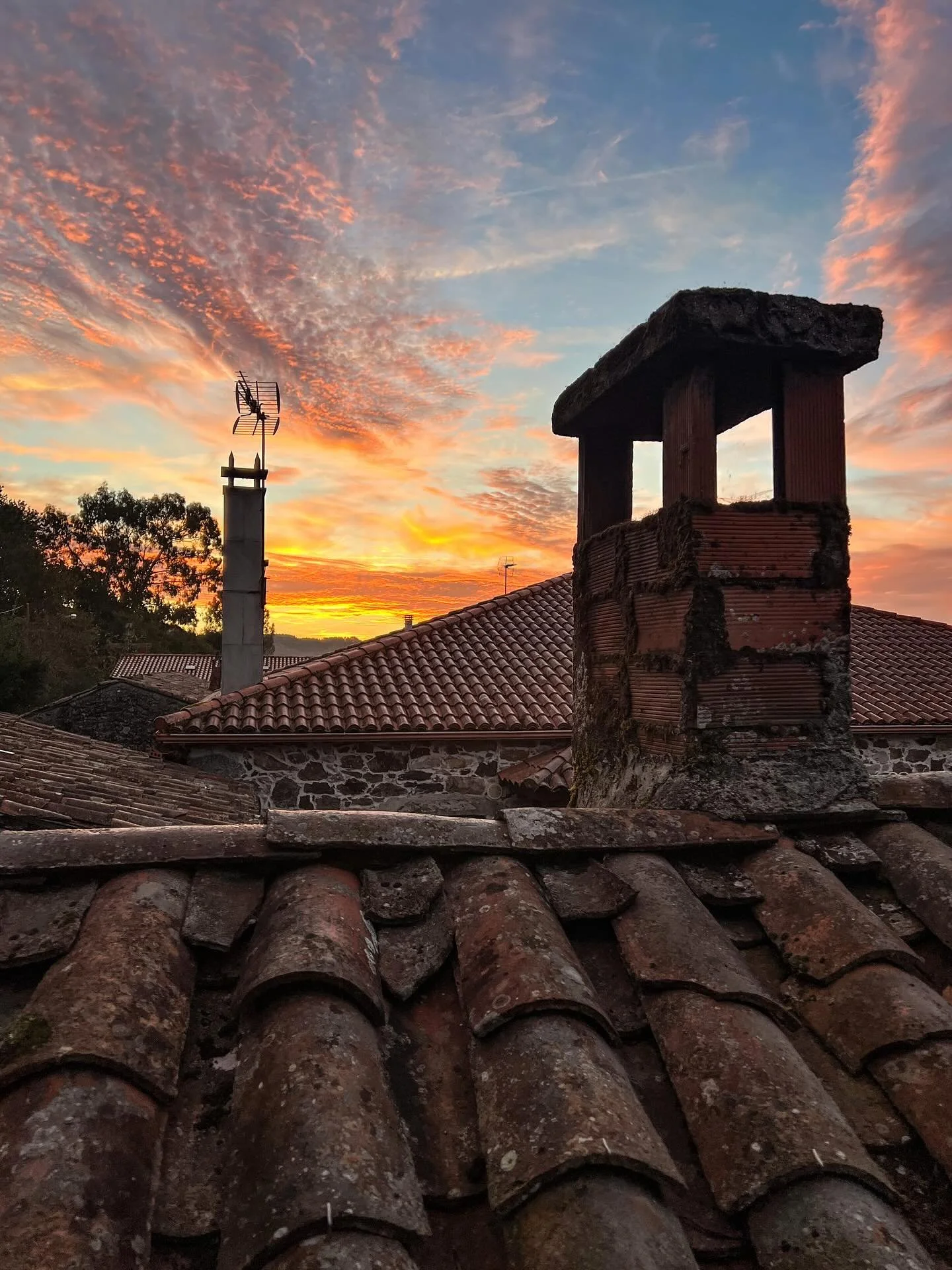 A shorter walk today (16 km) and our feet are grateful! We left before sunrise, kept turning around to catch the sky, and wandered through countryside that felt straight out of The Fox and the Hound - rolling green fields stitched with stone walls, m