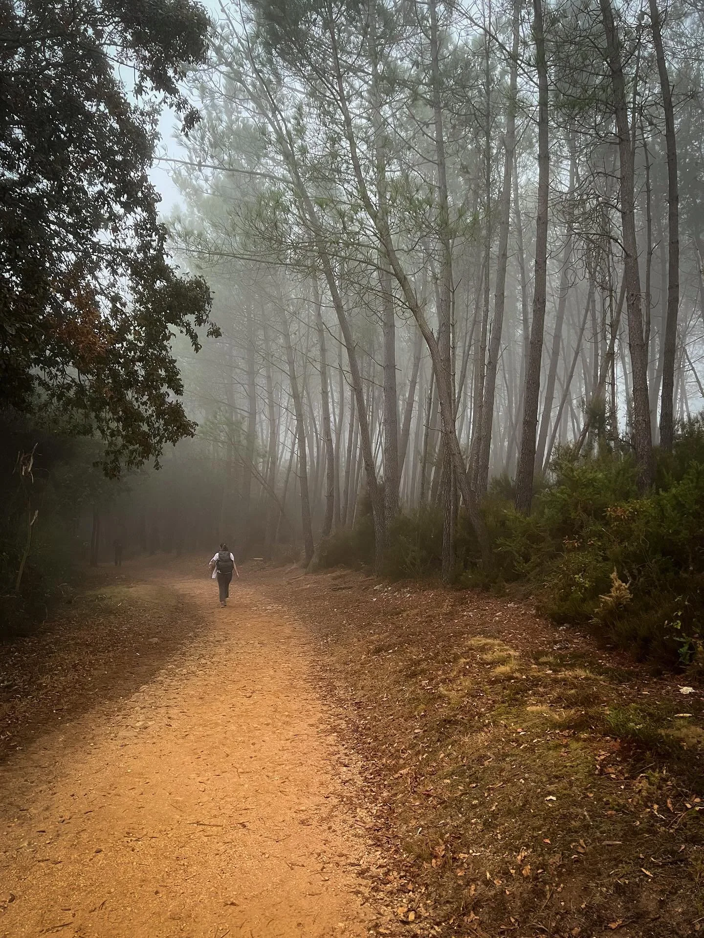 Some days it&rsquo;s not the distance, but the company that carries you.

We started before sunrise, hiking two hours through fog and forest until we climbed above the clouds. 

28 km today &mdash; tired, but feeling great. Maybe the secret is compan