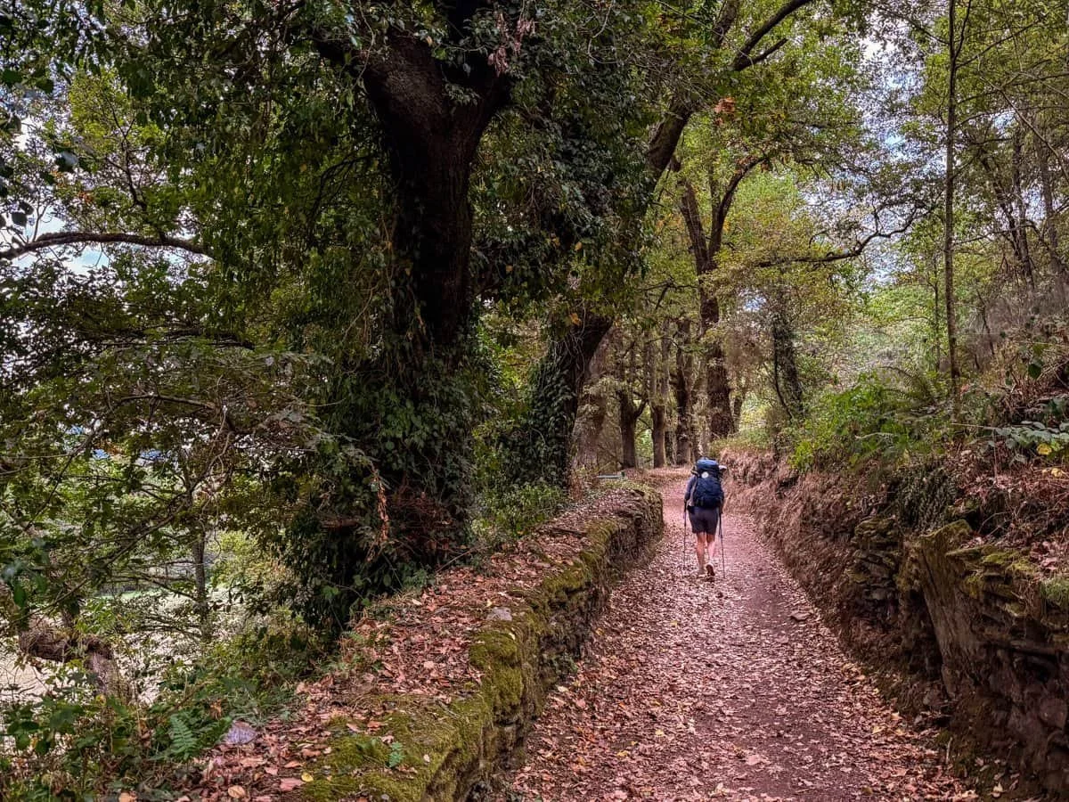 Walking to Santiago: Discovering Beauty and Freedom in Letting Go