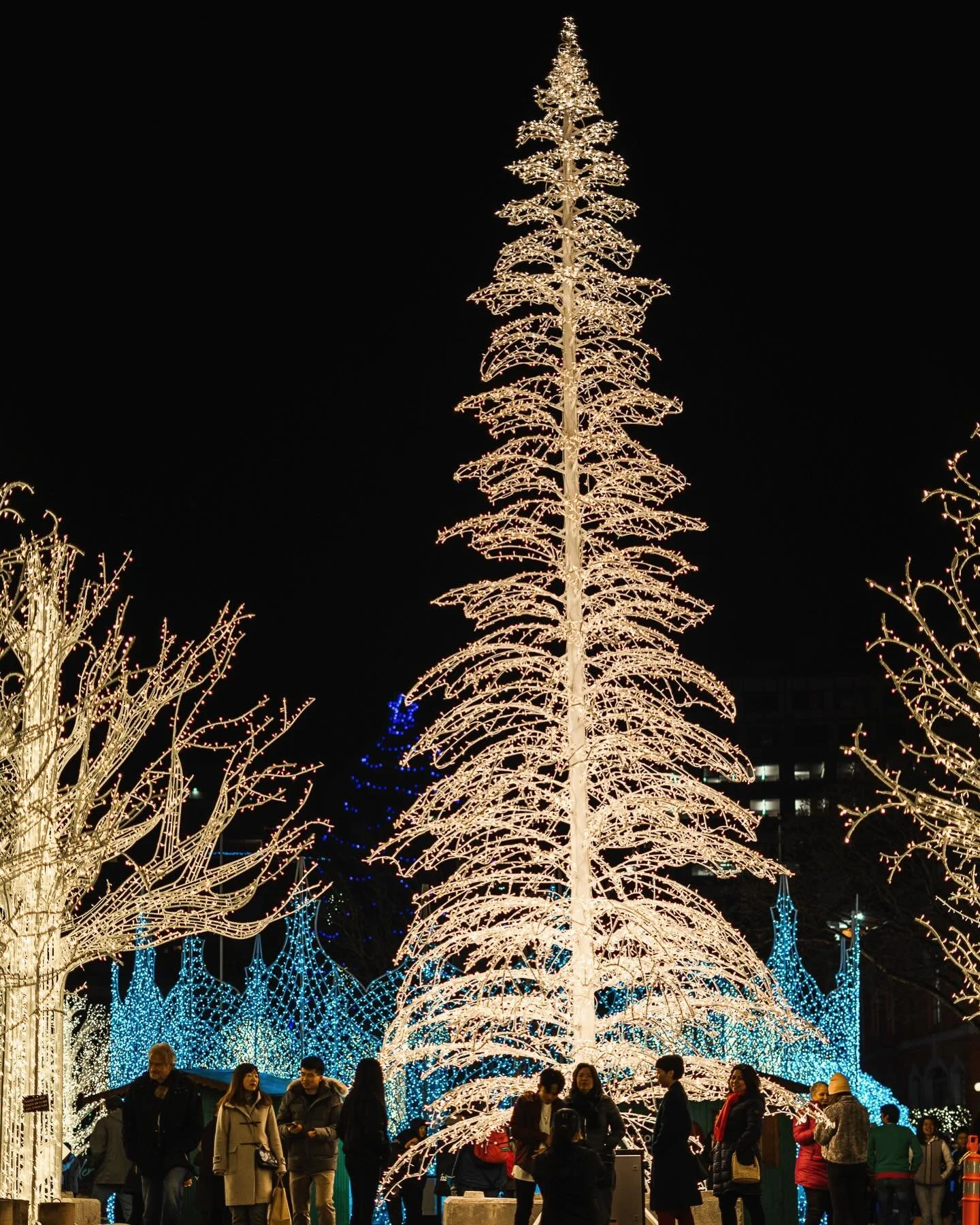 I love wandering cities that go &ldquo;all-in&rdquo; on the holiday season, especially in Europe. There&rsquo;s a quiet kind of magic to it. Just&hellip; luminous. Even on the &ldquo;wet&rdquo; coast of Canada, the holiday lights lift my spirits on g