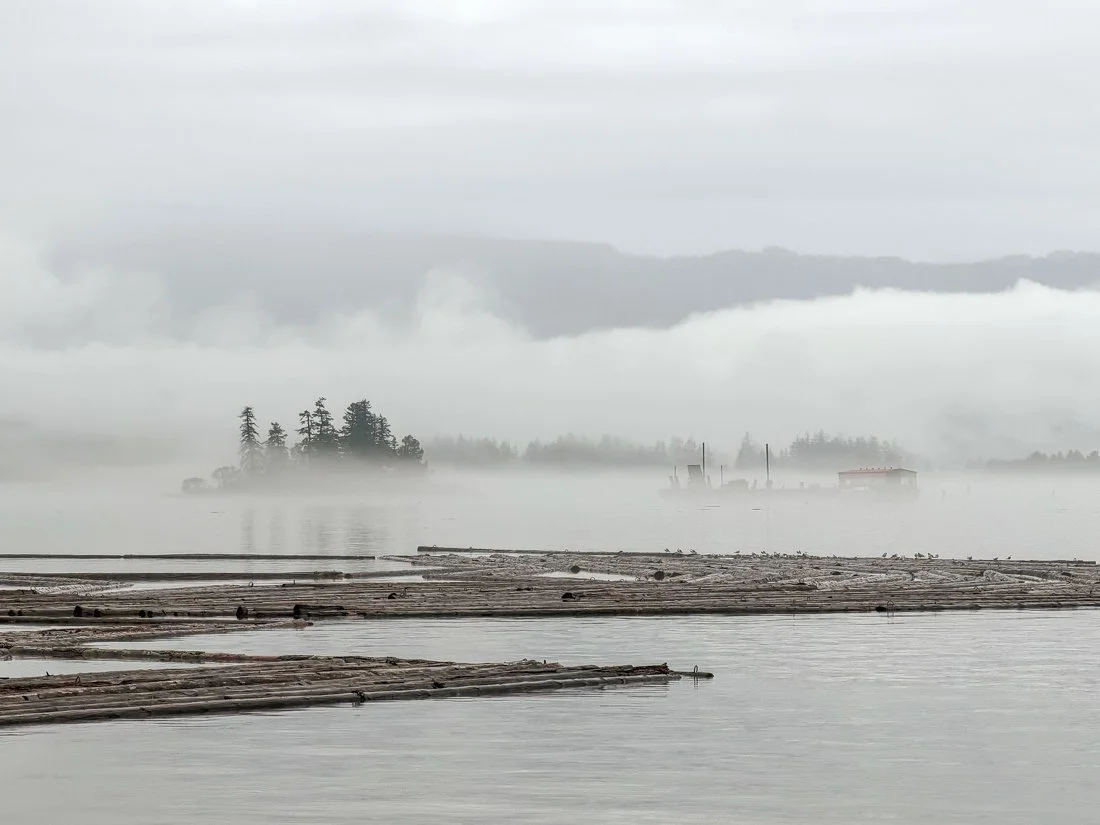 Holding Winter Gently: Aging and the Quiet Confidence of My Own Company